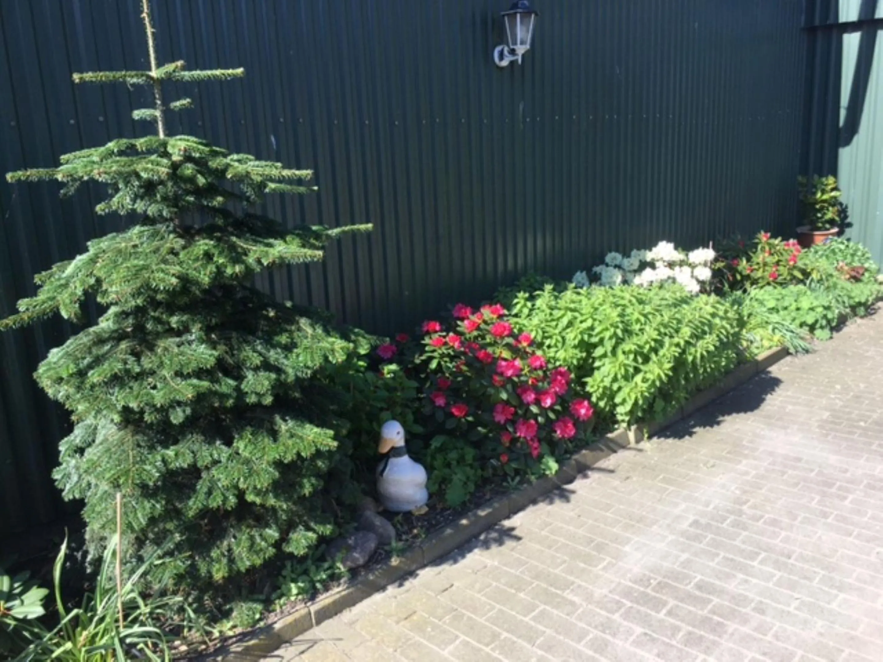 Patio in Reiterhof Wollesen