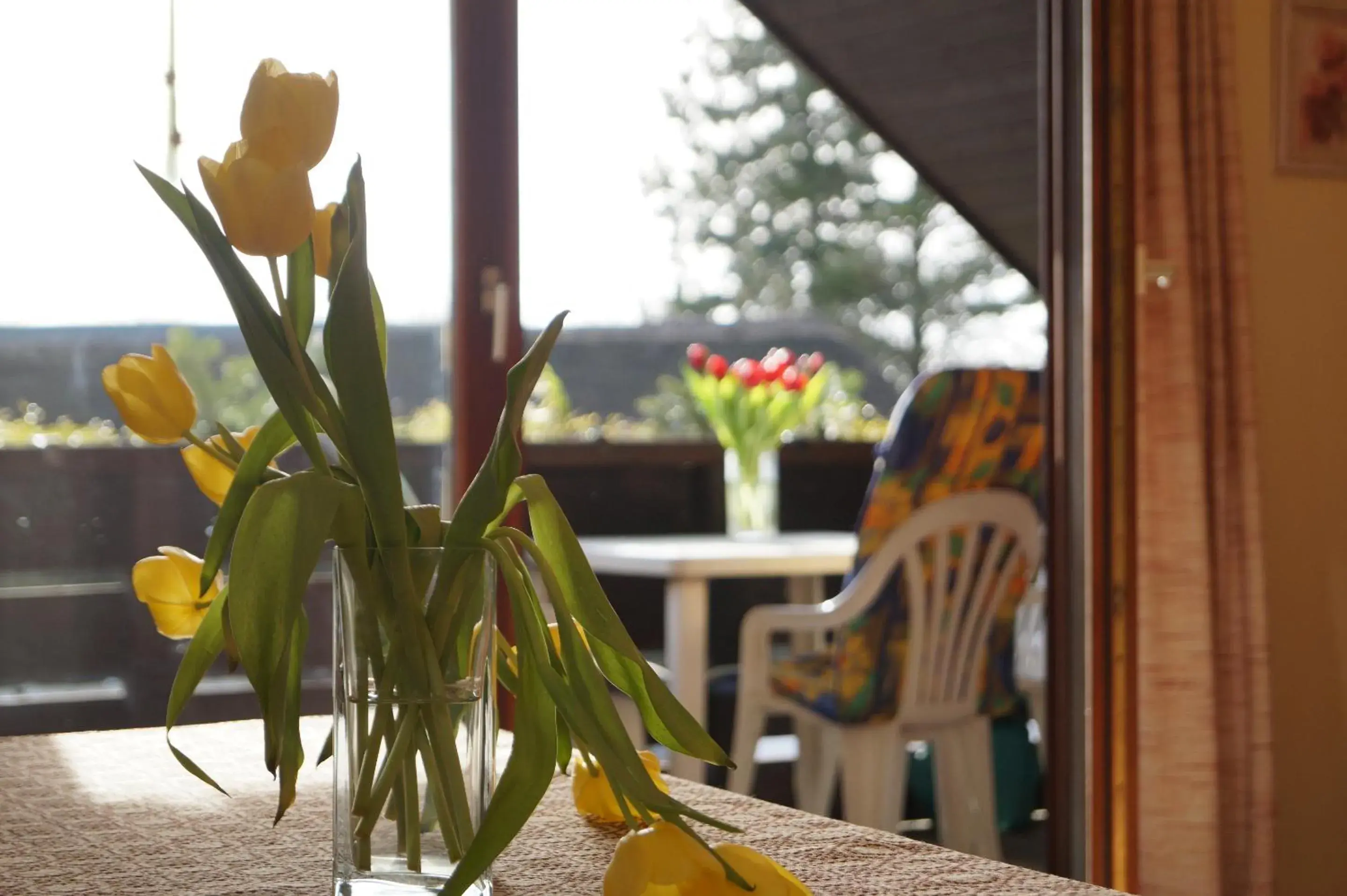 Apartment First Floor - single occupancy in Reiterhof Wollesen Apartment First Floor - single occupancy in Reiterhof Wollesen