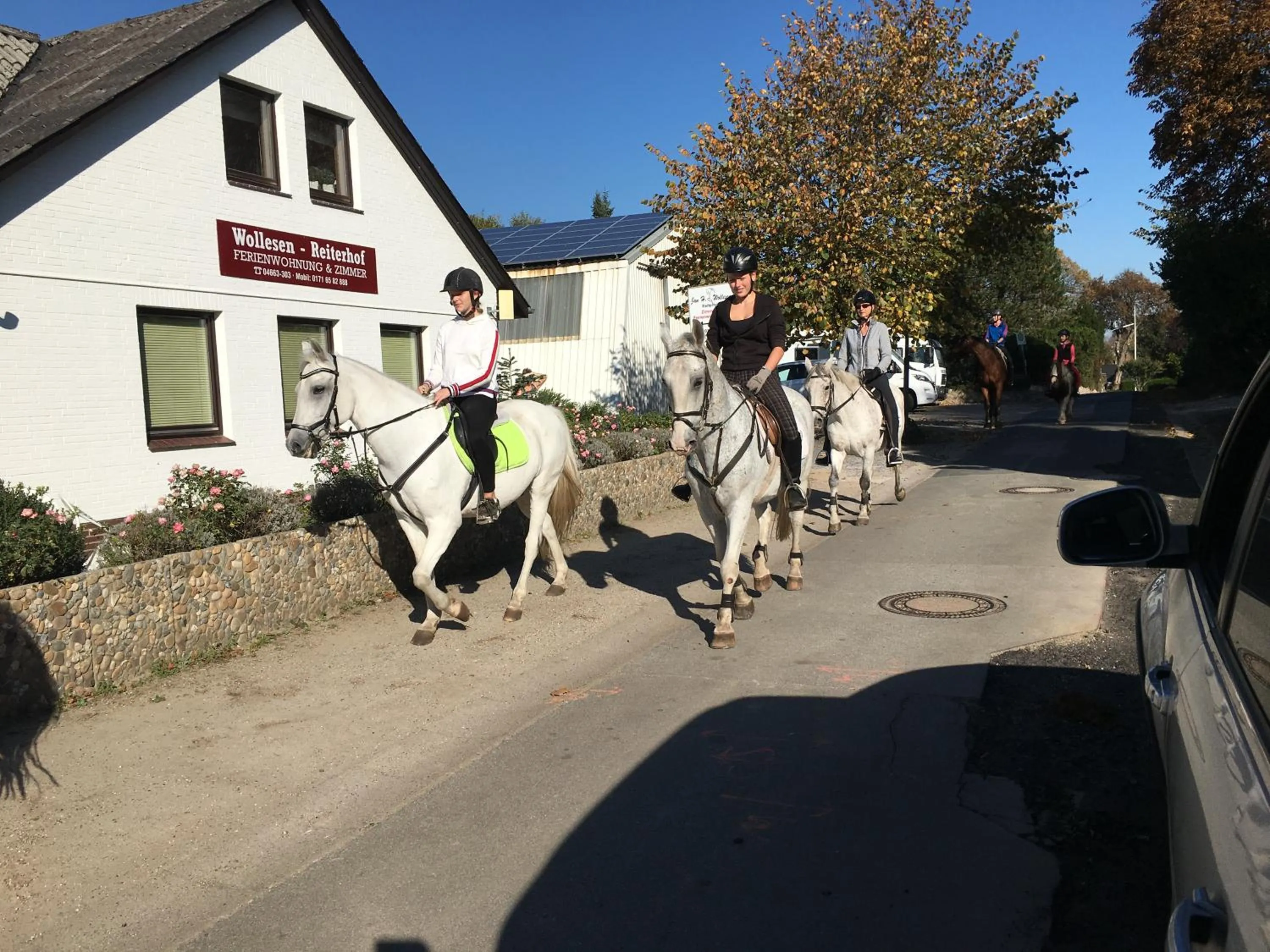 Horse-riding in Reiterhof Wollesen