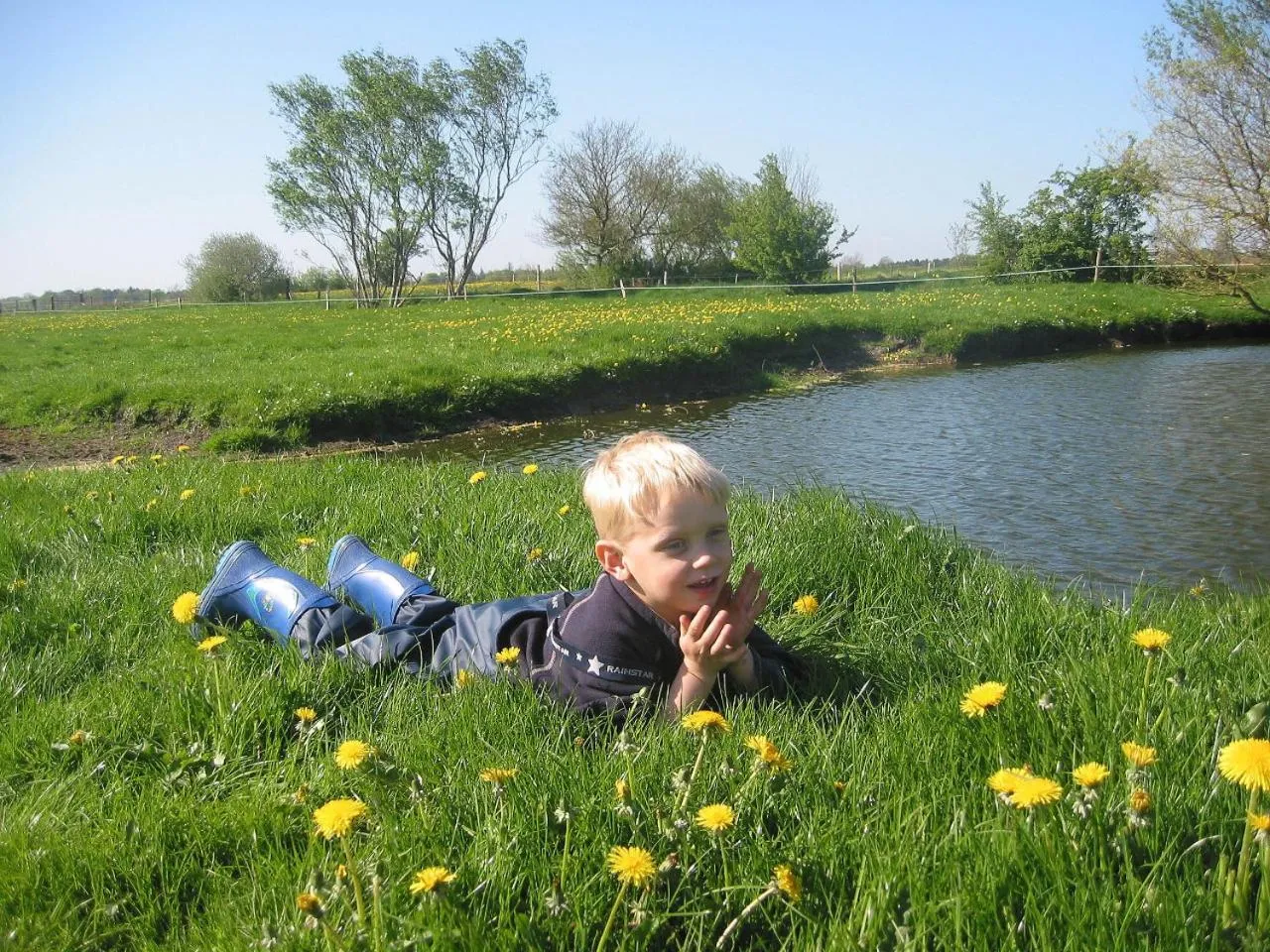 Natural landscape in Reiterhof Wollesen