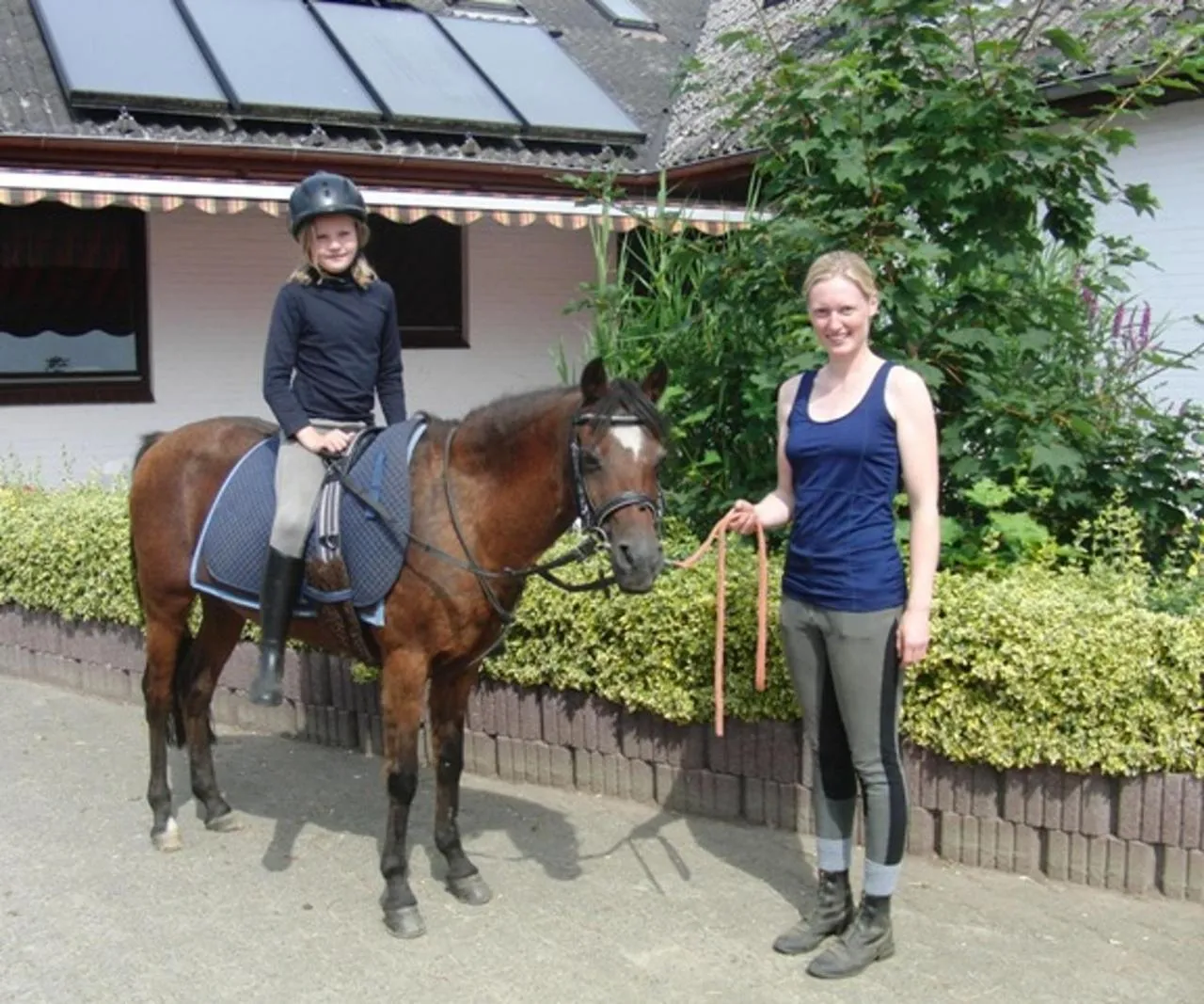 Animals in Reiterhof Wollesen