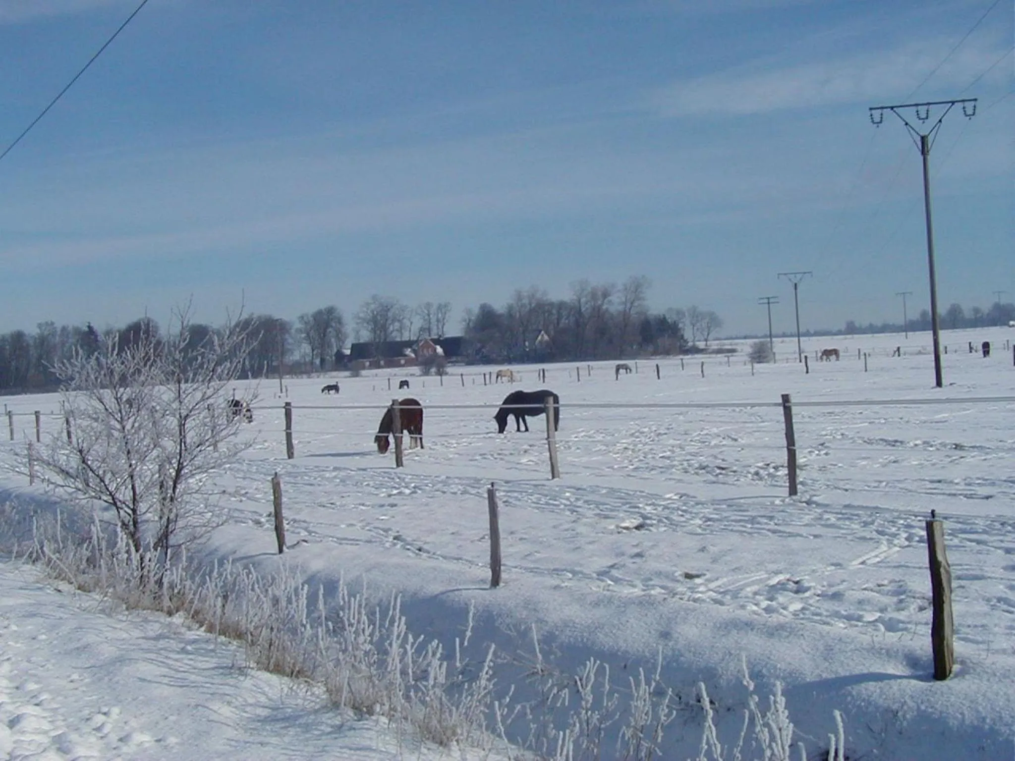 Winter in Reiterhof Wollesen