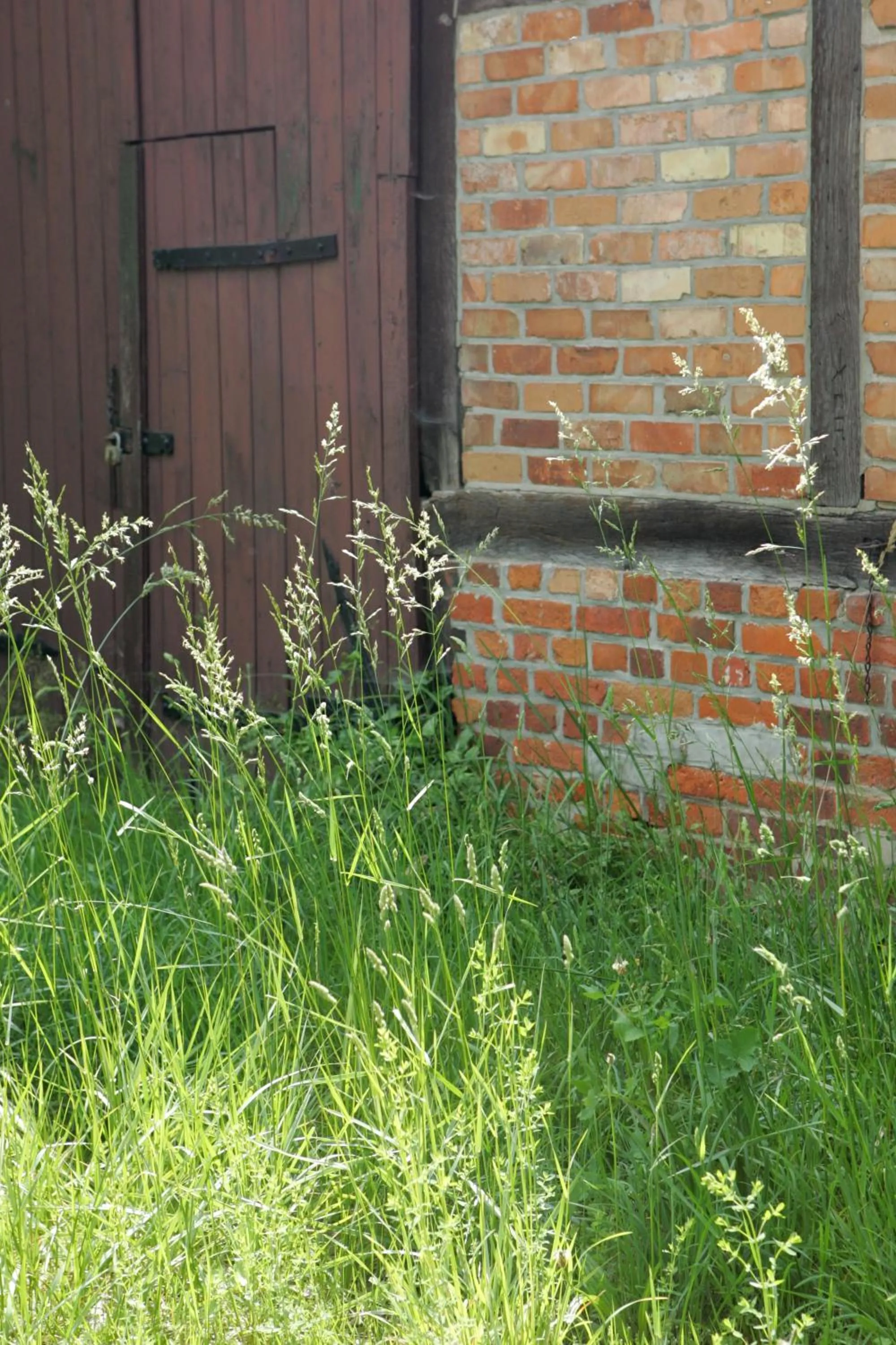 Facade/entrance in Hotel Waldhof auf Herrenland