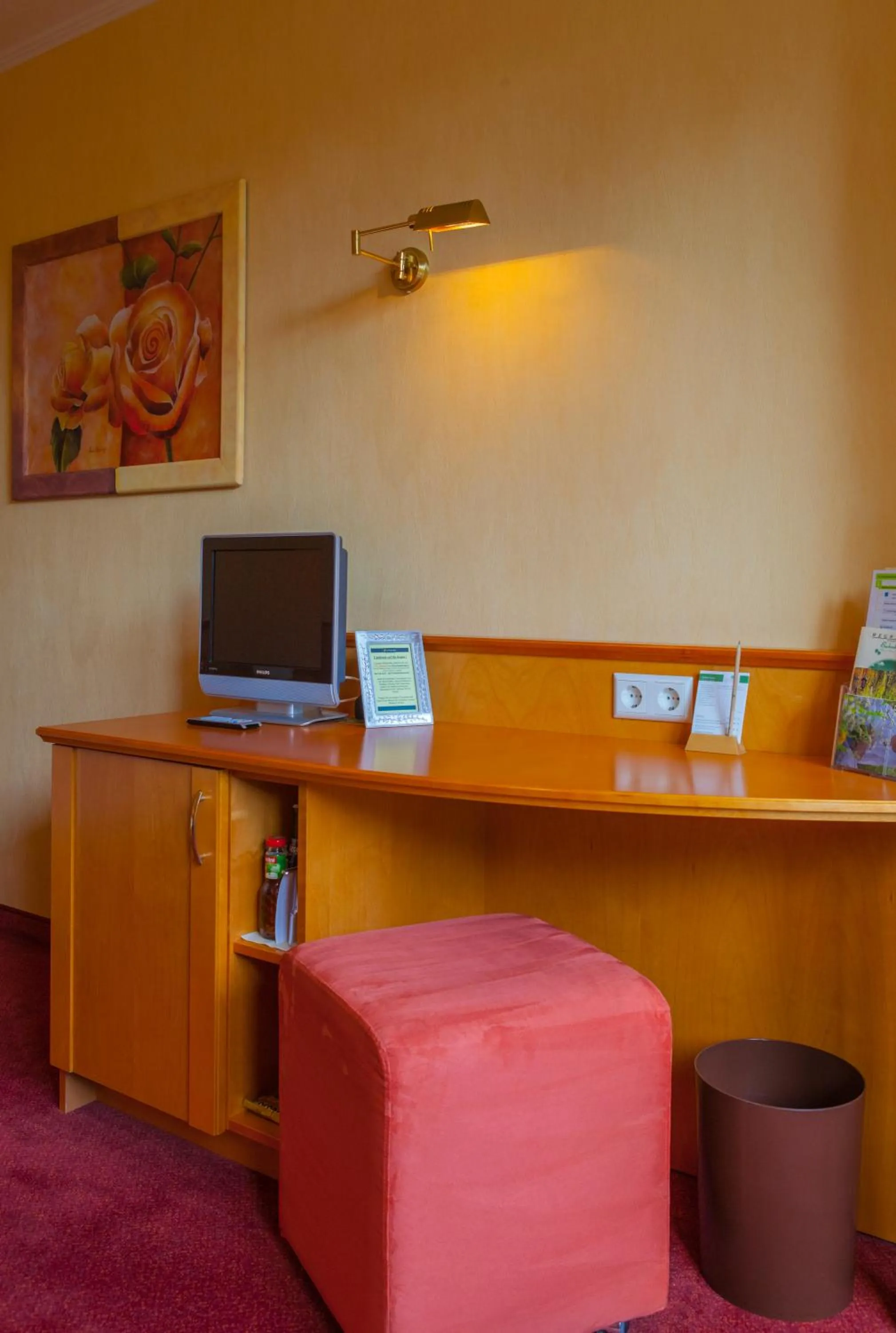 TV and multimedia in Hotel Backenköhler