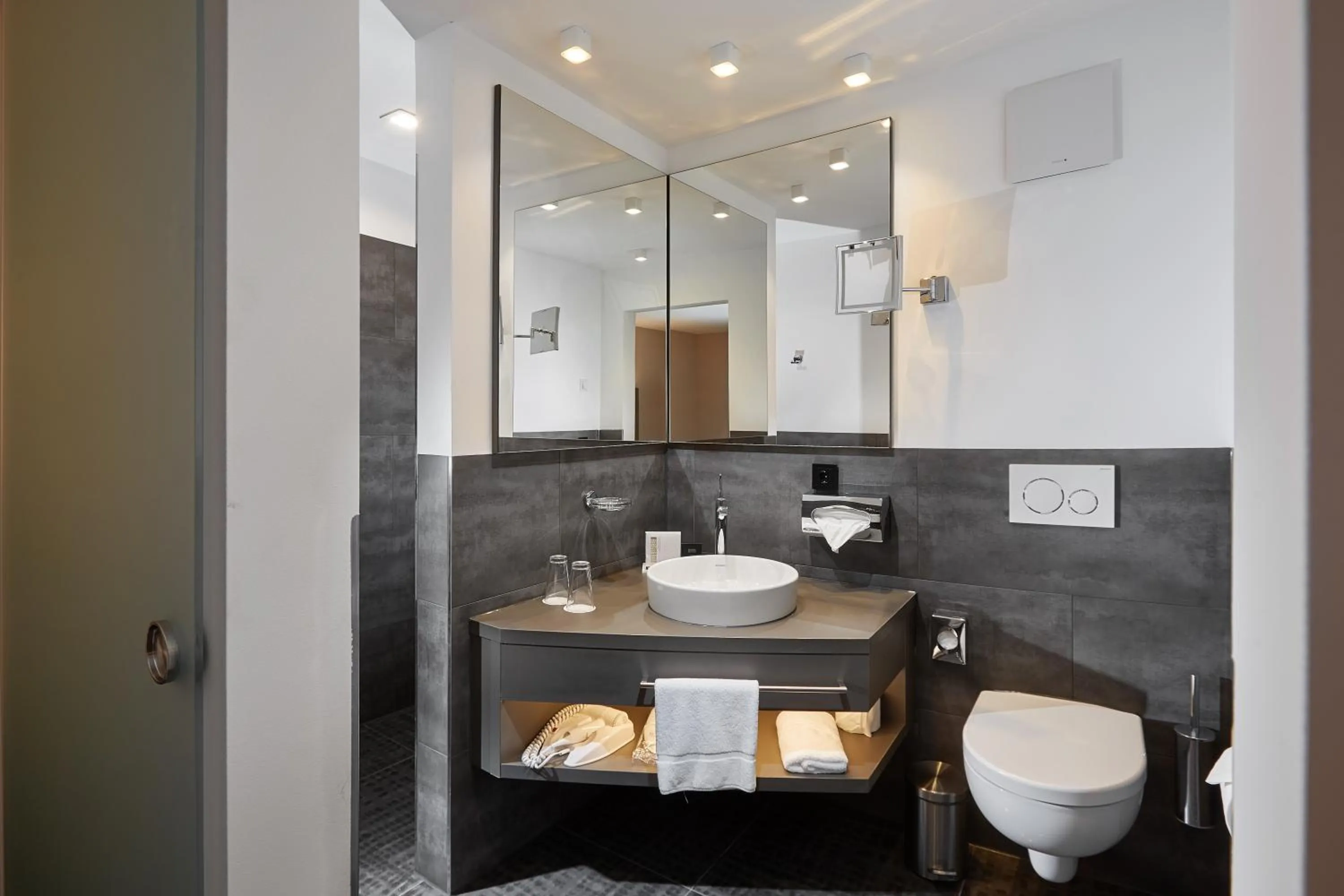 Toilet in Schloss Reinach