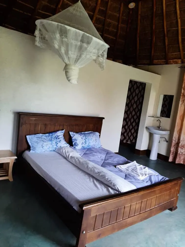 Photo of the whole room, Bed in Tangi Safari Lodge