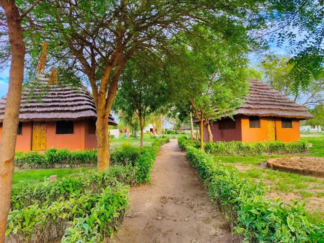 Property building in Tangi Safari Lodge