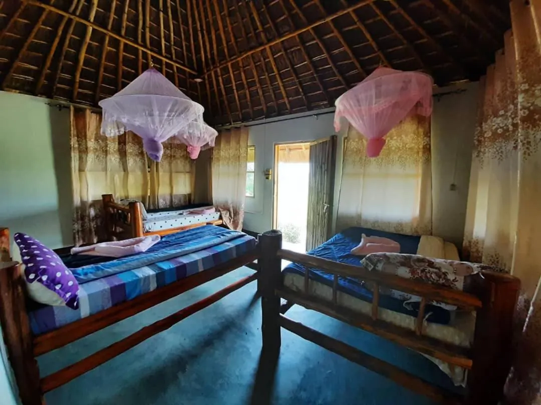Photo of the whole room, Bed in Tangi Safari Lodge