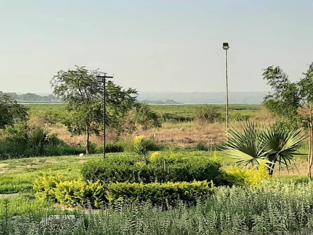 Natural landscape in Tangi Safari Lodge