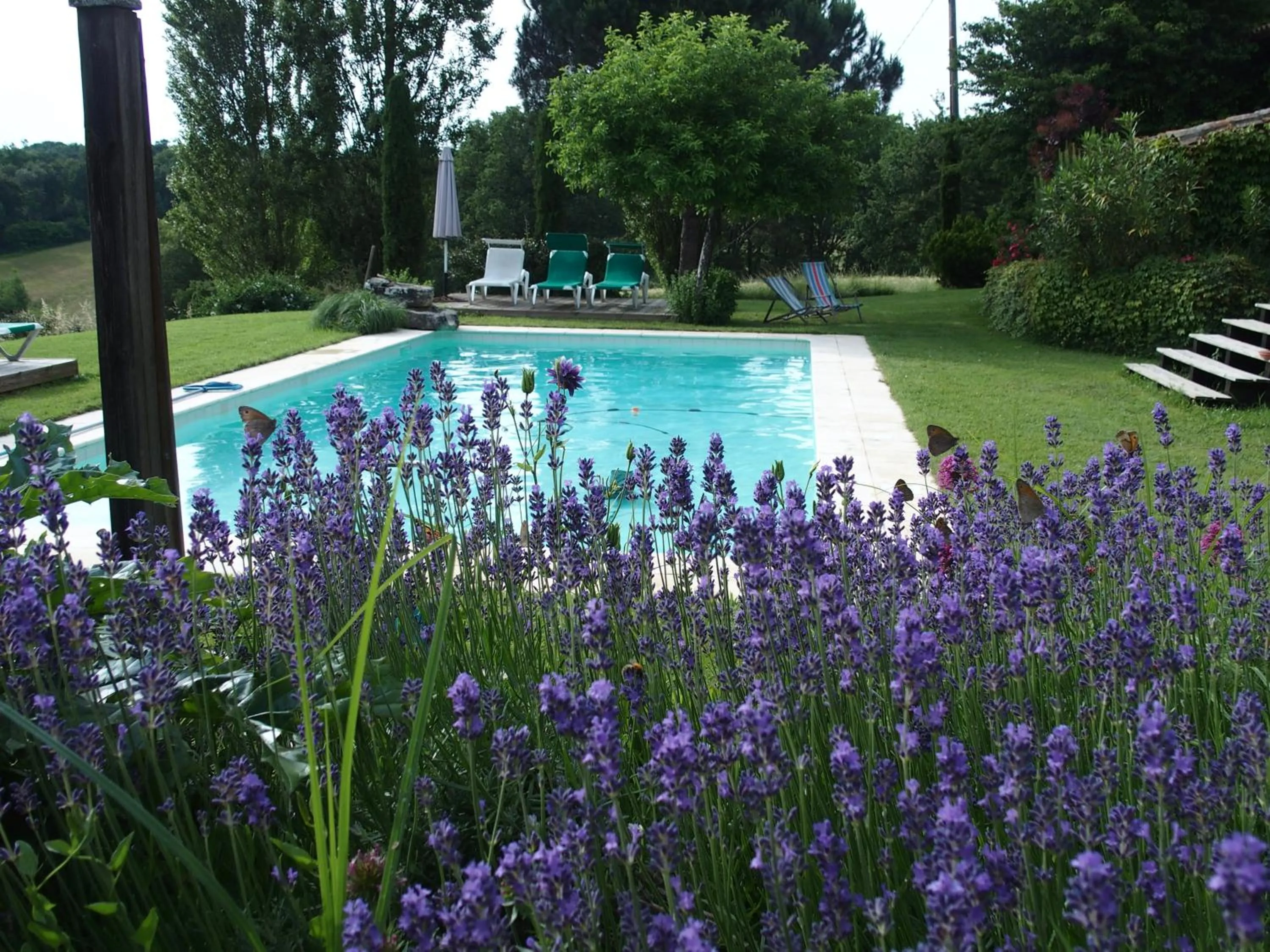 Pool view in les tamaris