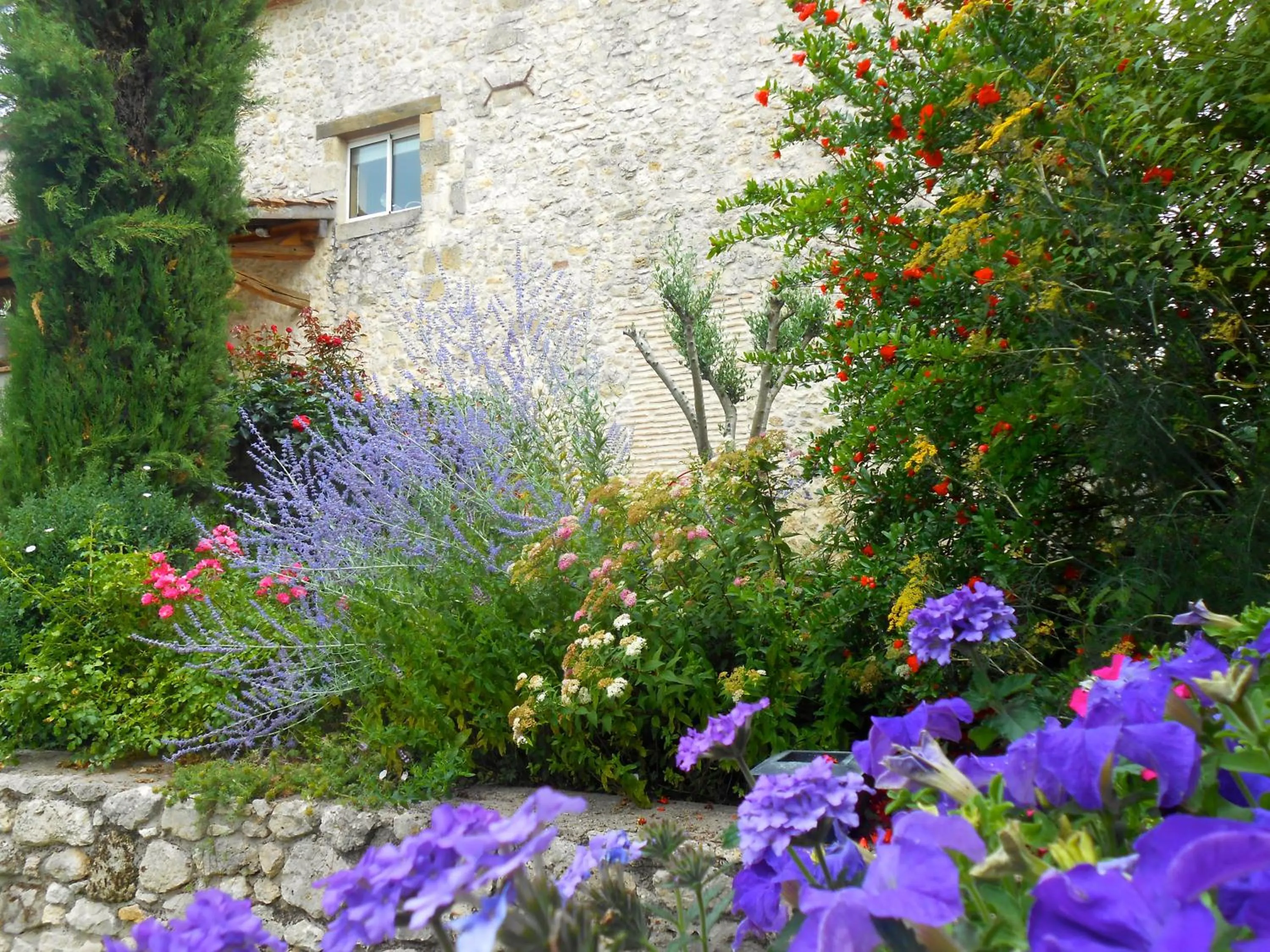 Garden view in les tamaris