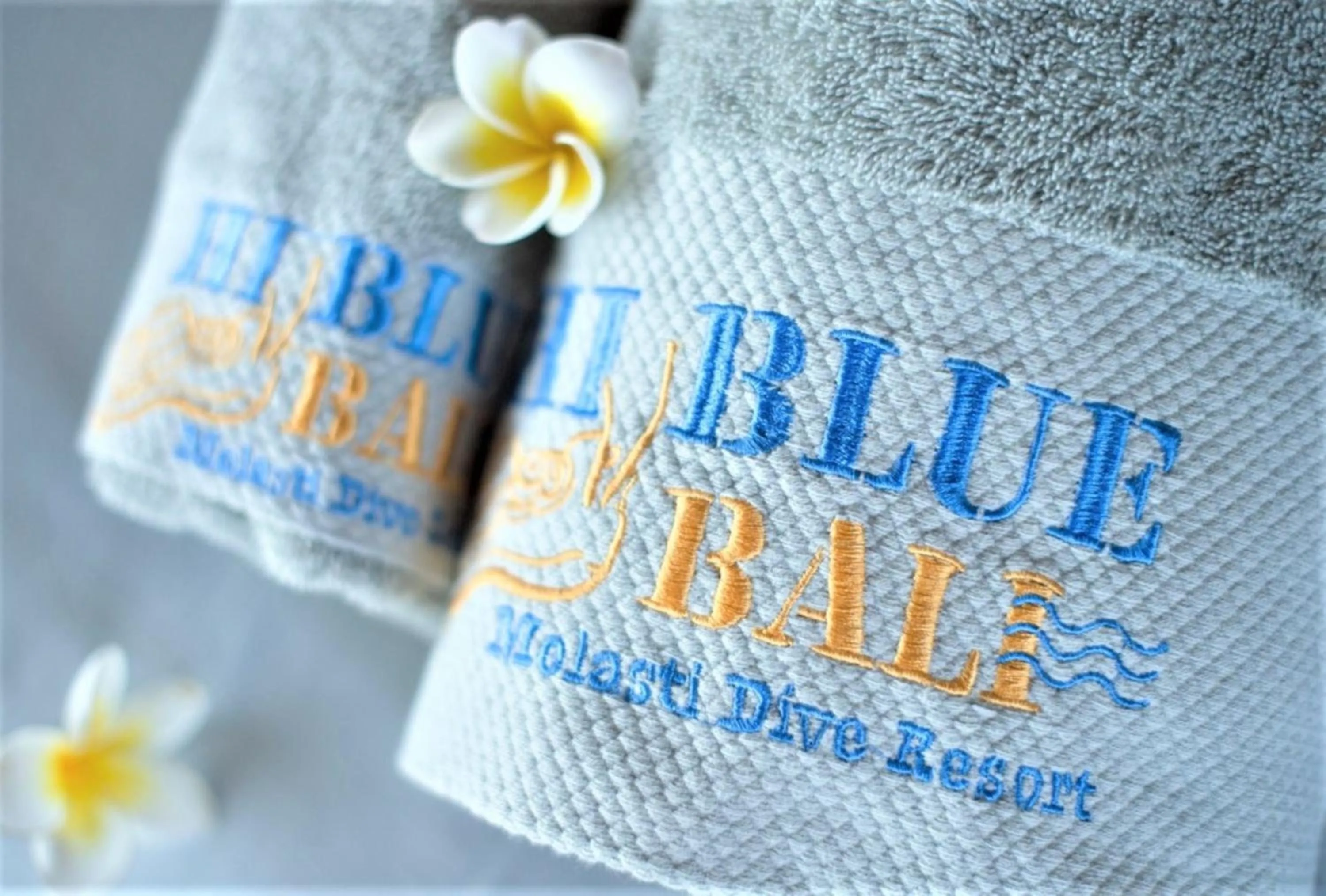 Other in Hi Blue Bali Melasti Dive Resort