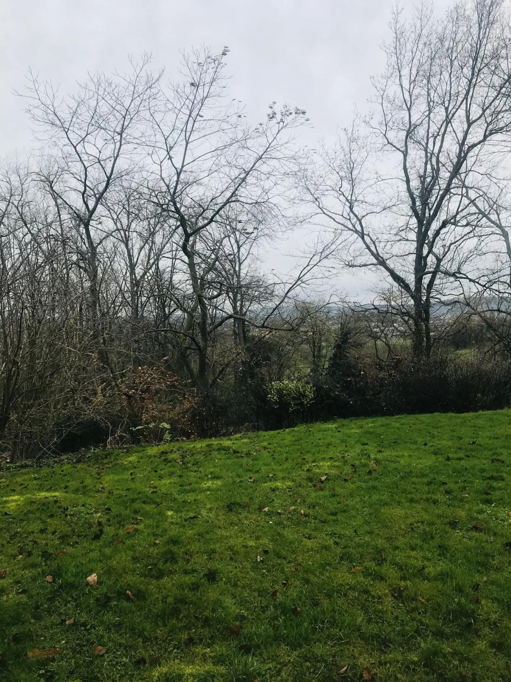 Natural landscape in Panacée Guesthouses