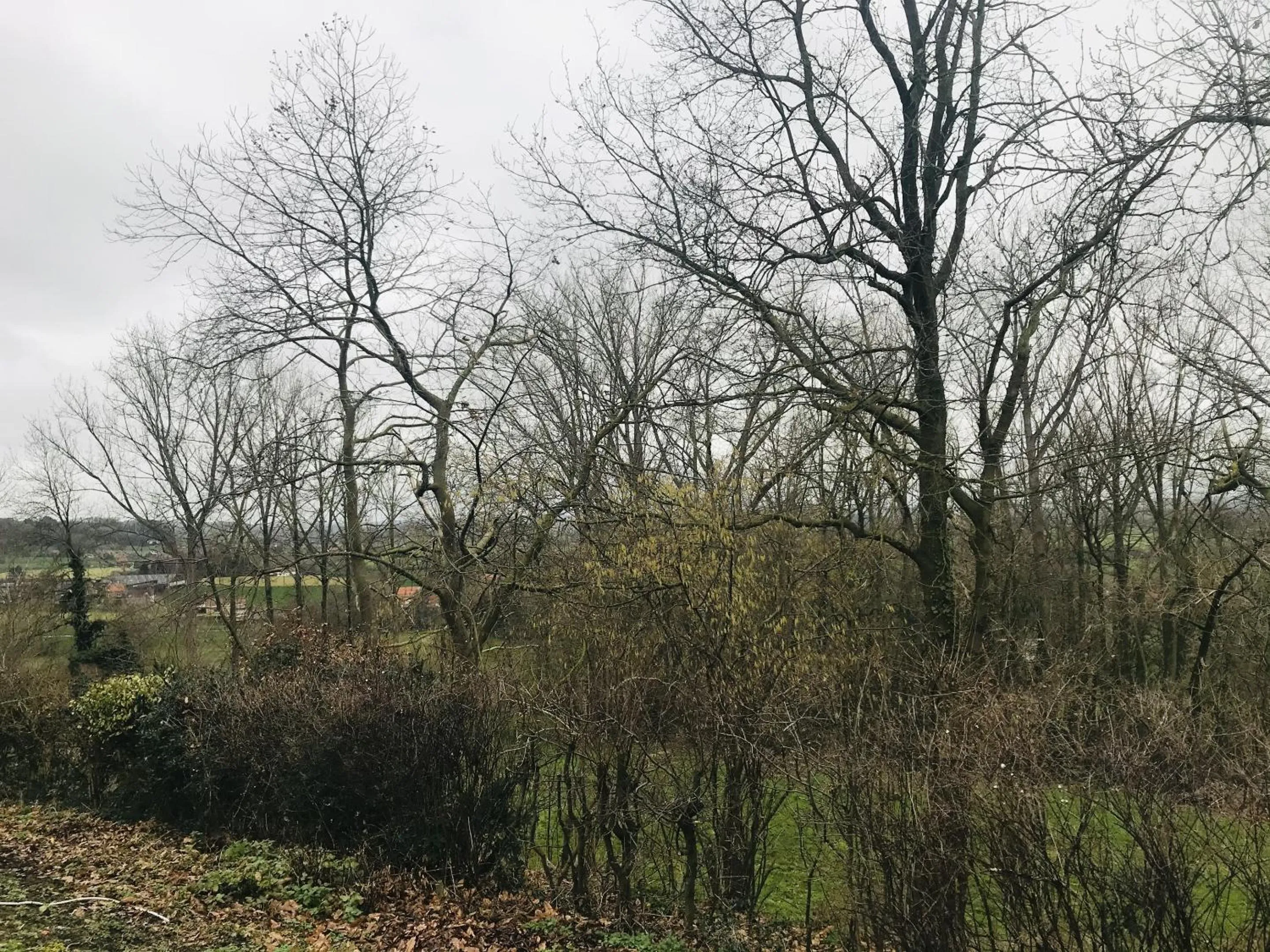 Natural landscape in Panacée Guesthouses