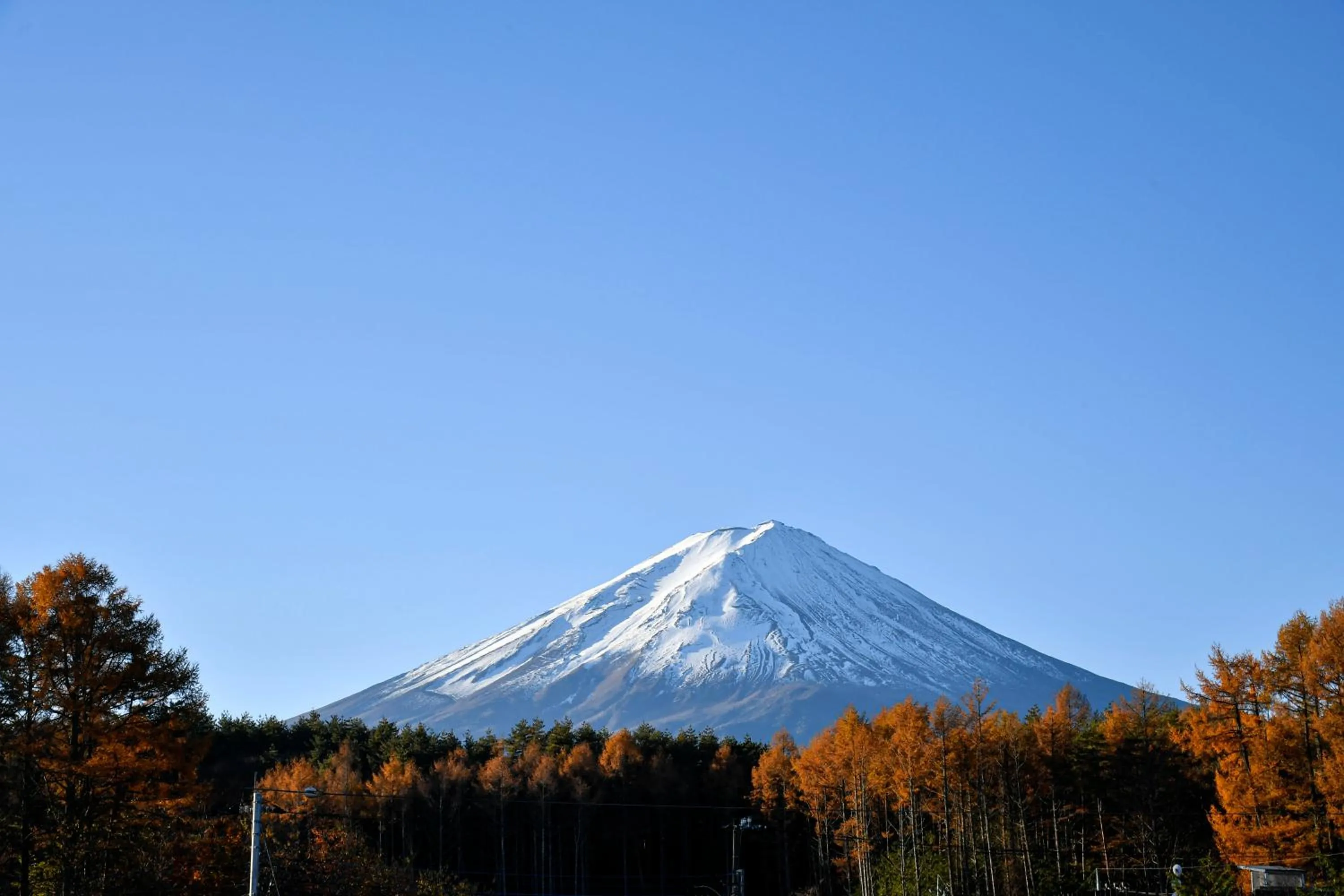 Natural landscape in The Gran Resort Princess Fujikawaguchiko
