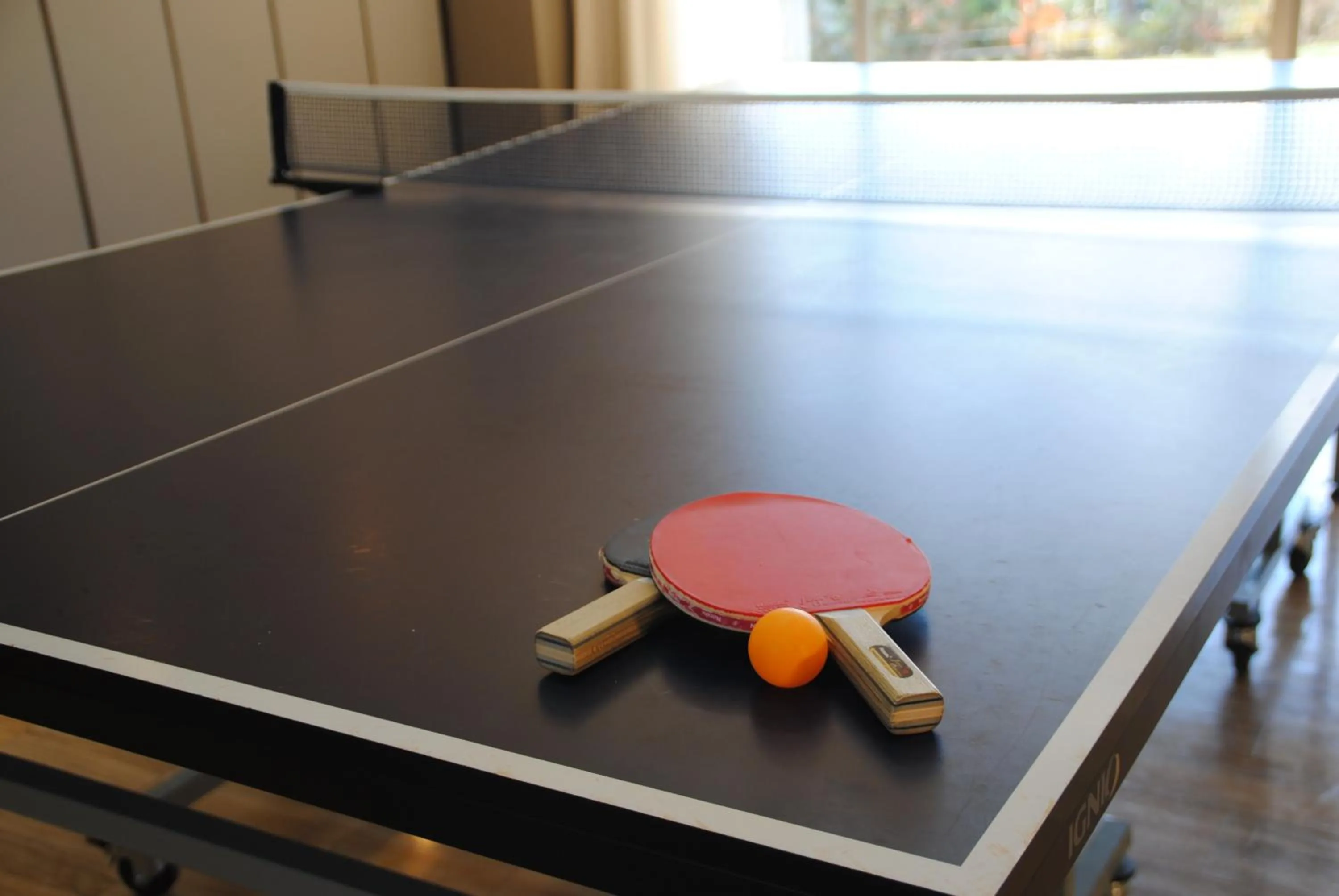 Table tennis in The Gran Resort Princess Fujikawaguchiko