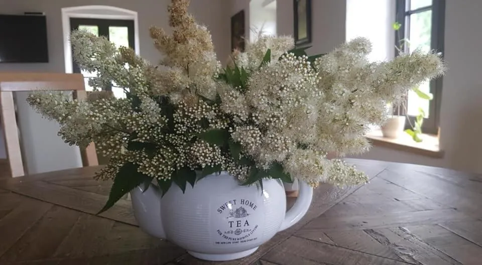 Pokoje Gościnne Art- Dworek