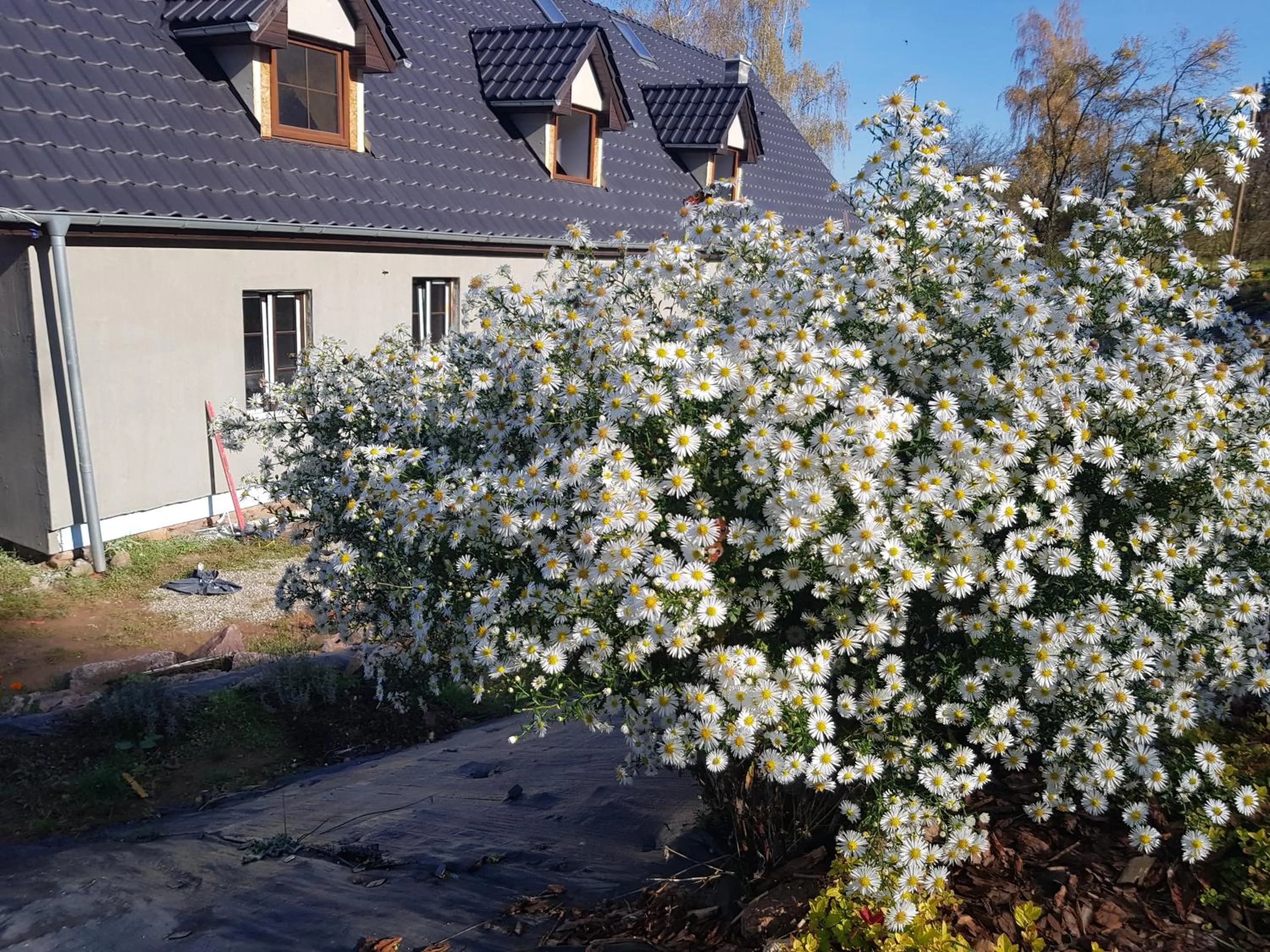 Pokoje Gościnne Art- Dworek