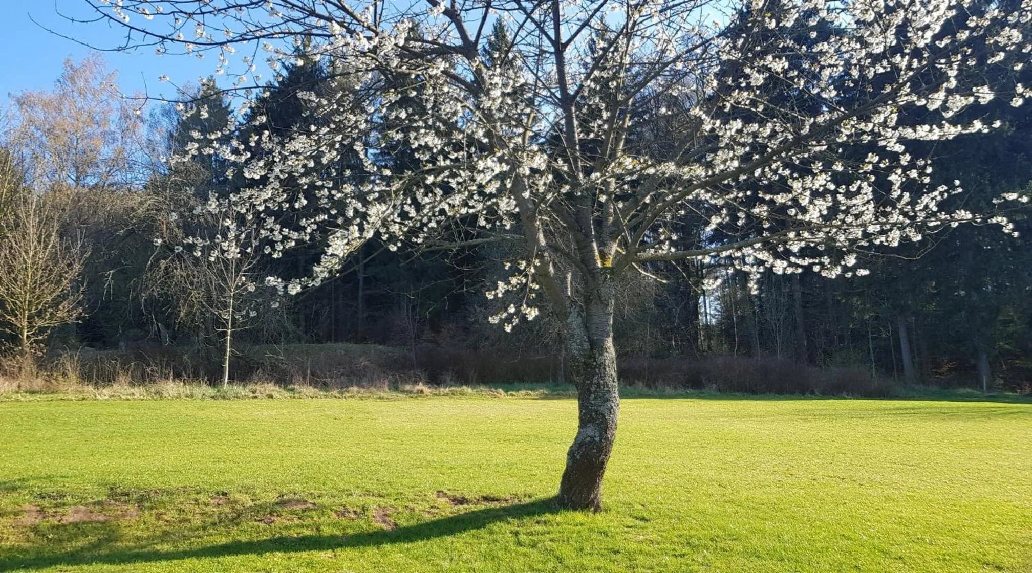 Pokoje Gościnne Art- Dworek