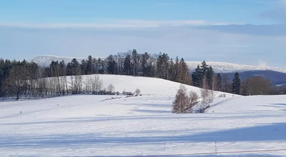 Pokoje Gościnne Art- Dworek