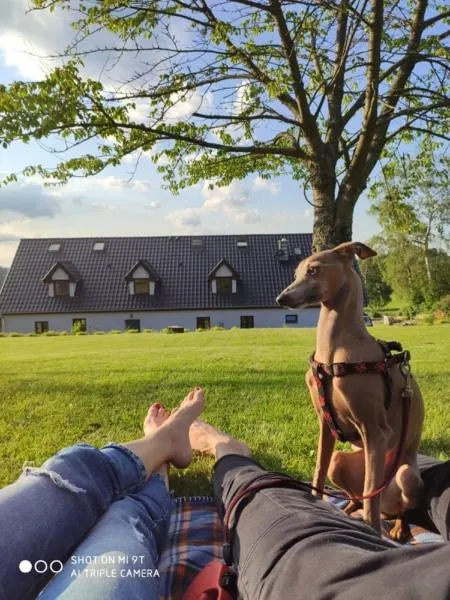 Pokoje Gościnne Art- Dworek