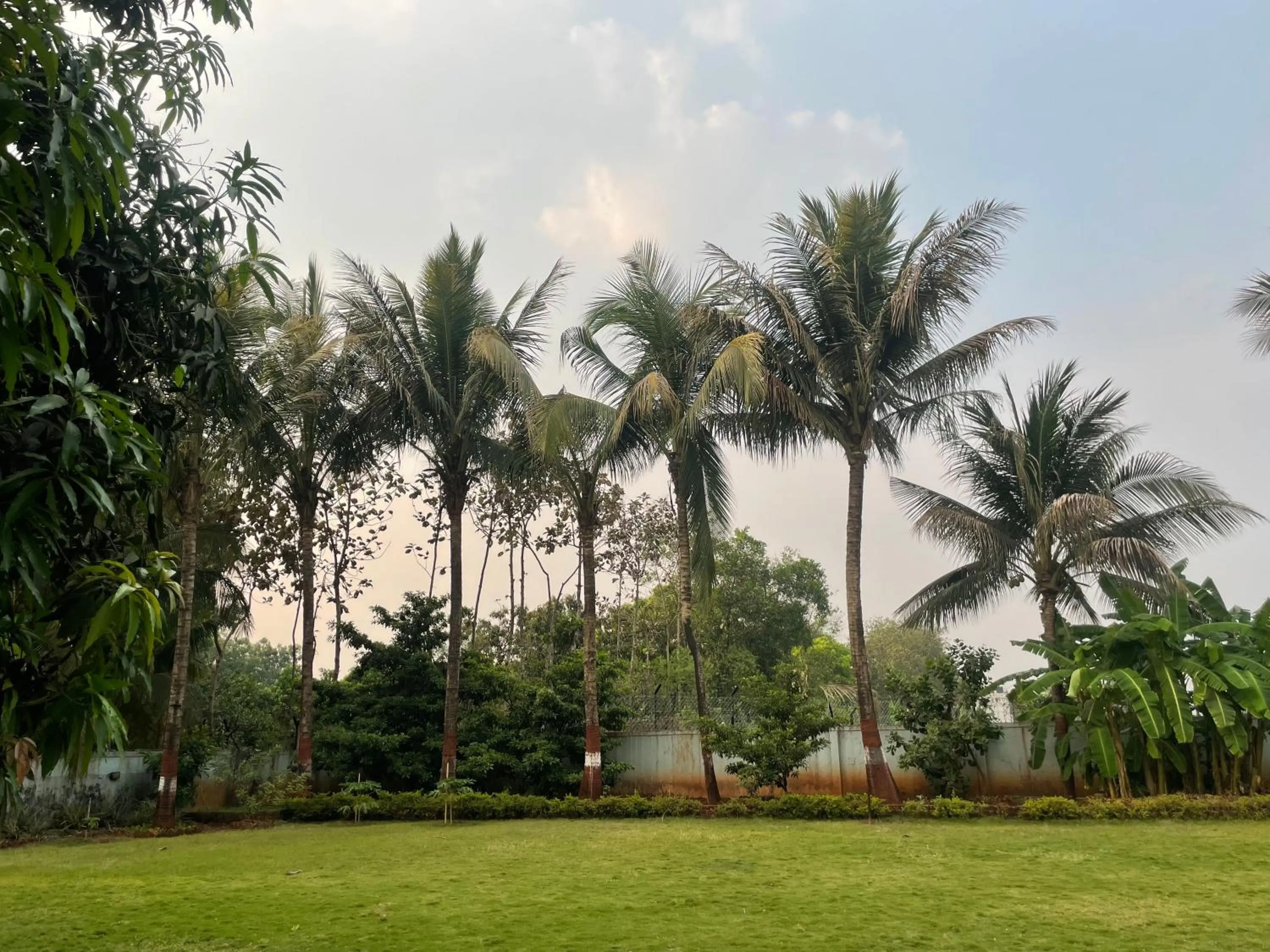 Garden in Geeta Bhawan Villa
