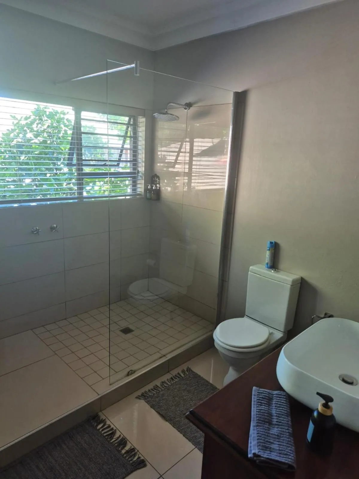 Shower in Potch Manor Guest House