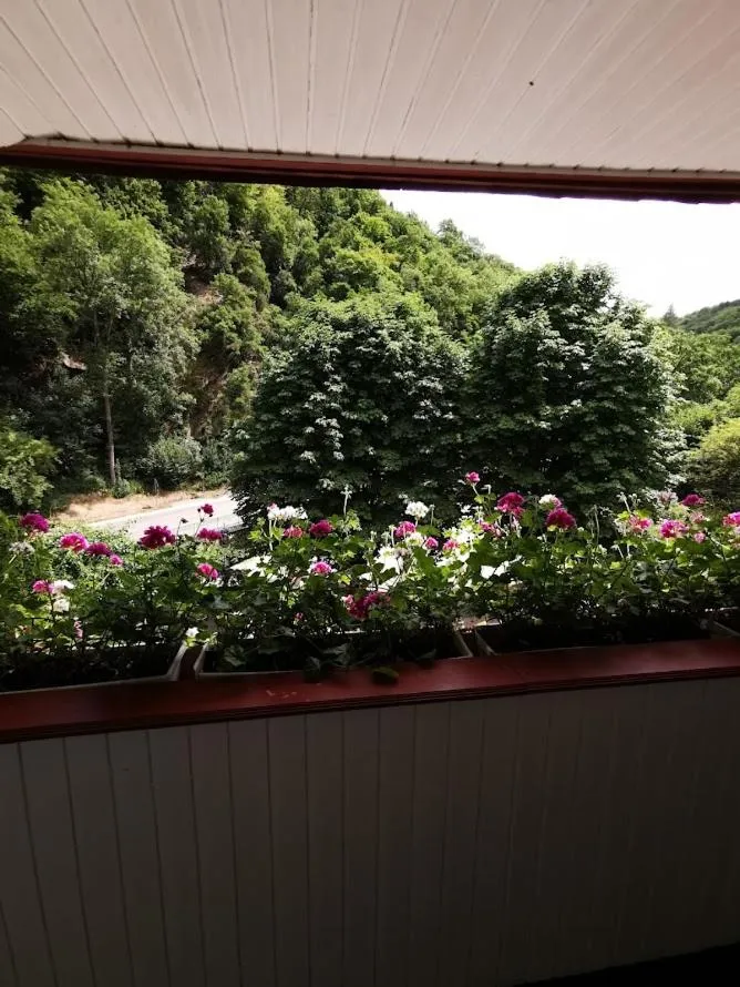 Balcony/Terrace in Hotel Winneburg