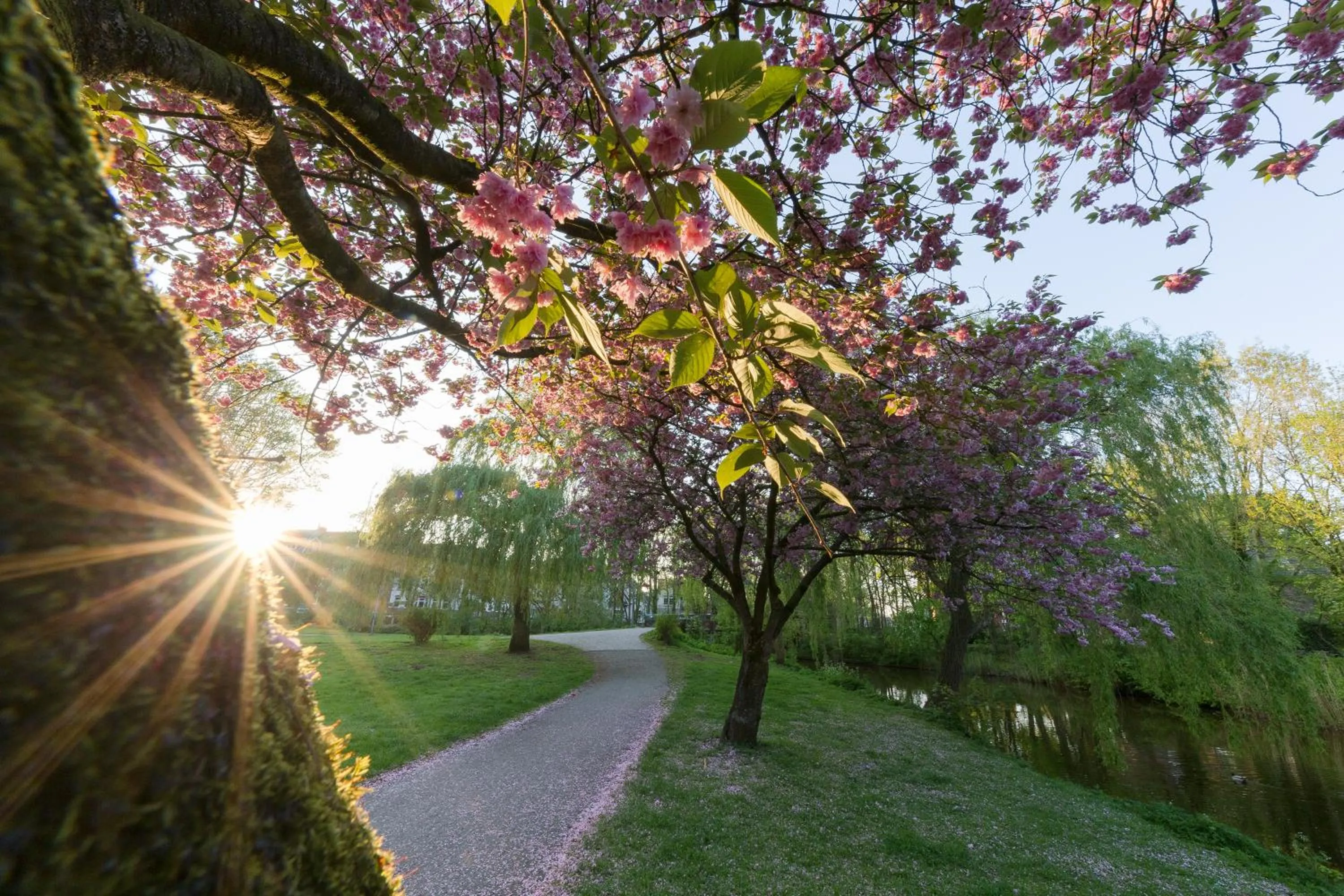 Spring in Hotel DH -Deutsches Haus-