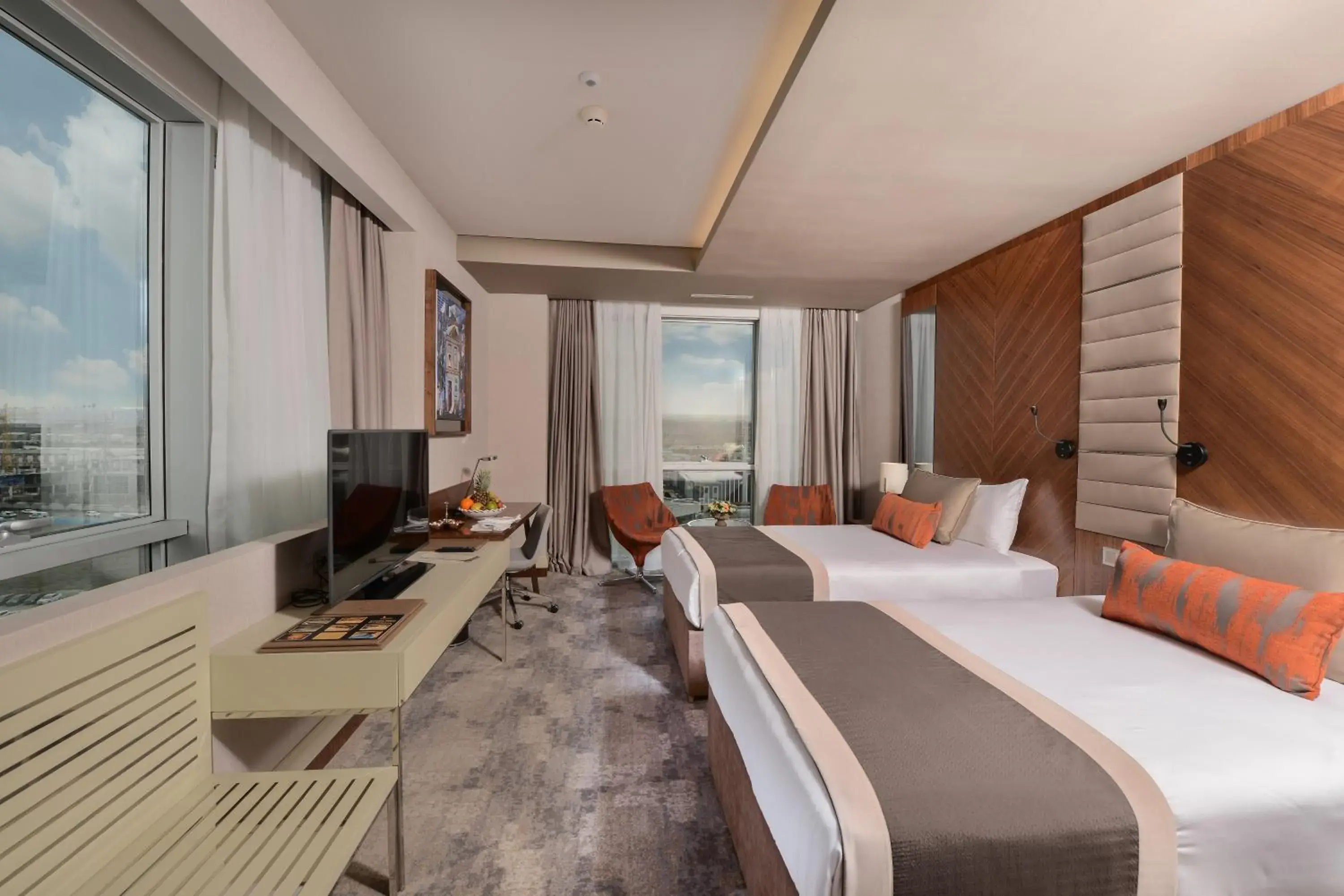 King Room - single occupancy in Ankara Alegria Business Hotel King Room - single occupancy in Ankara Alegria Business Hotel