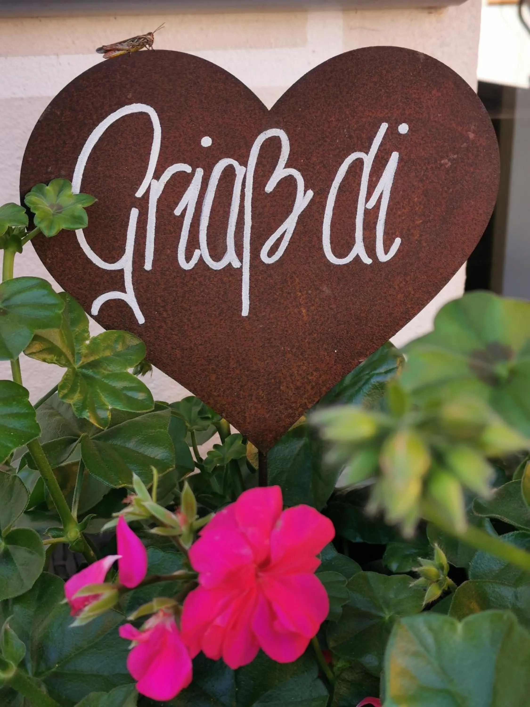Facade/entrance in Alblerhof