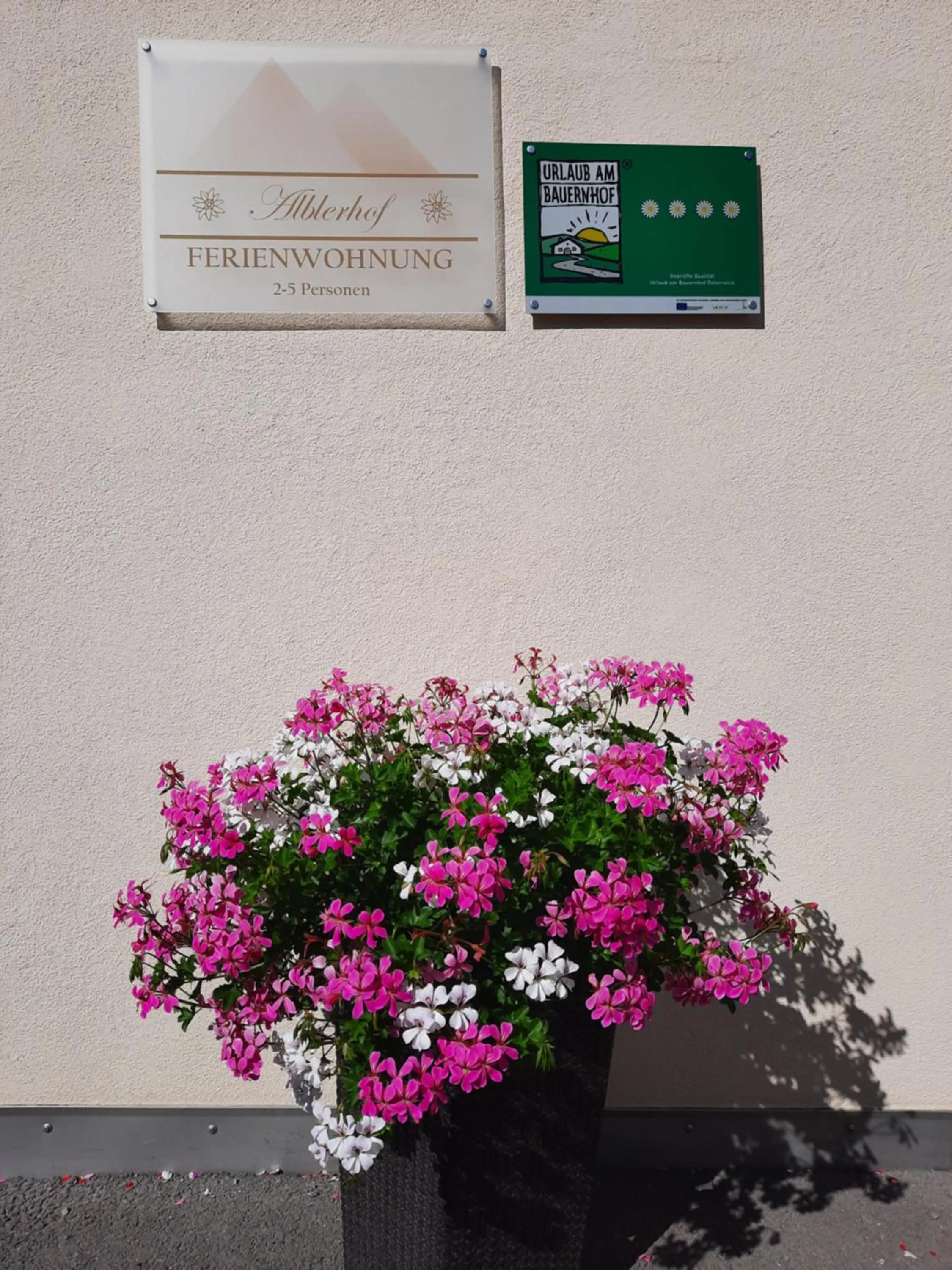 Street view in Alblerhof