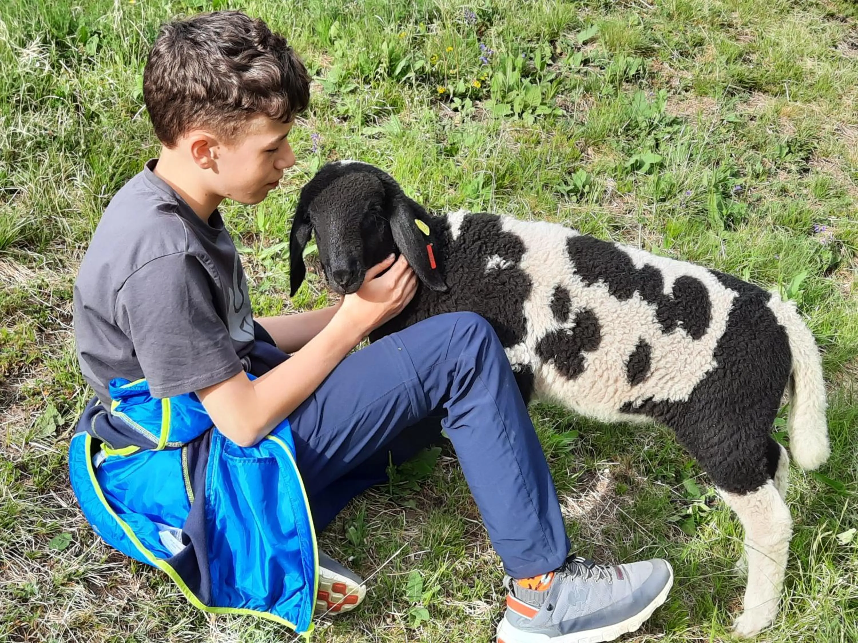 Animals in Alblerhof