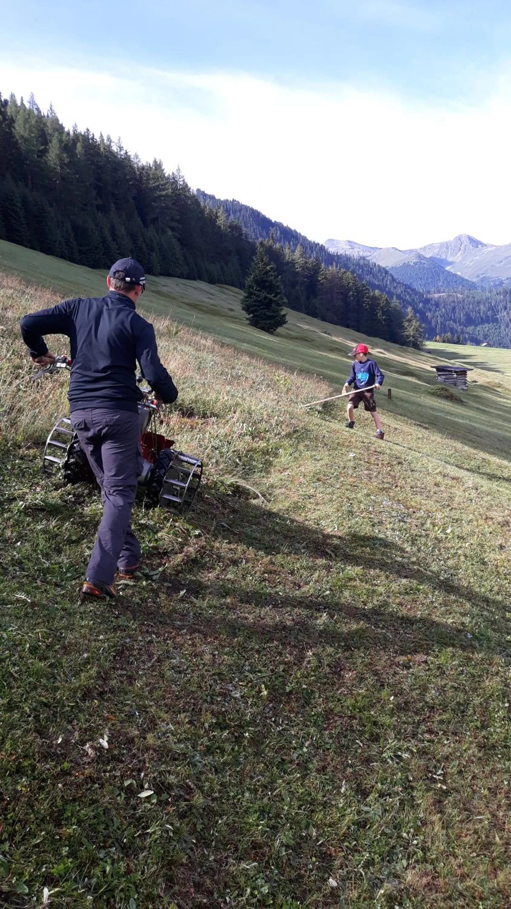 Natural landscape in Alblerhof