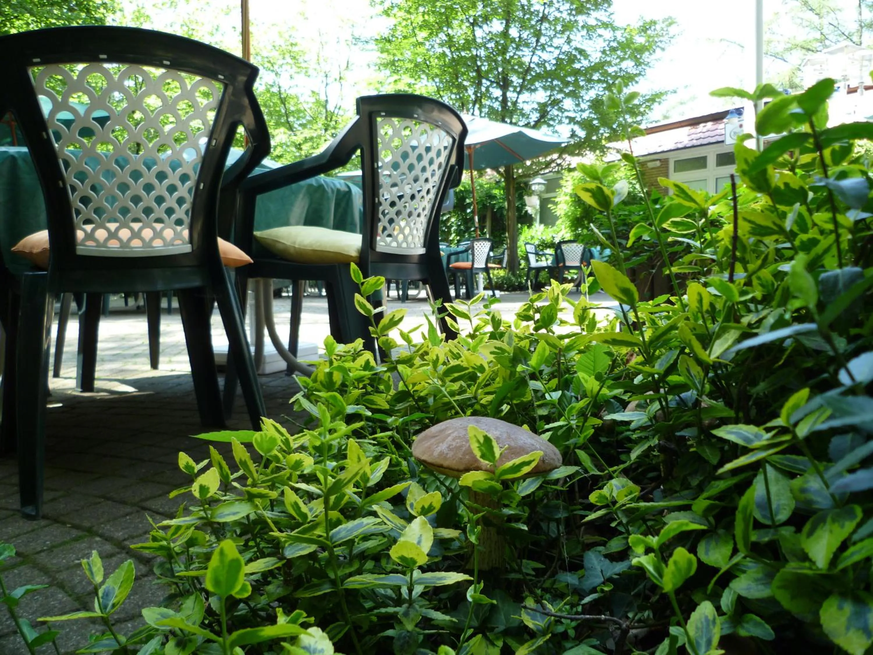 Garden in Waldhotel Surwold