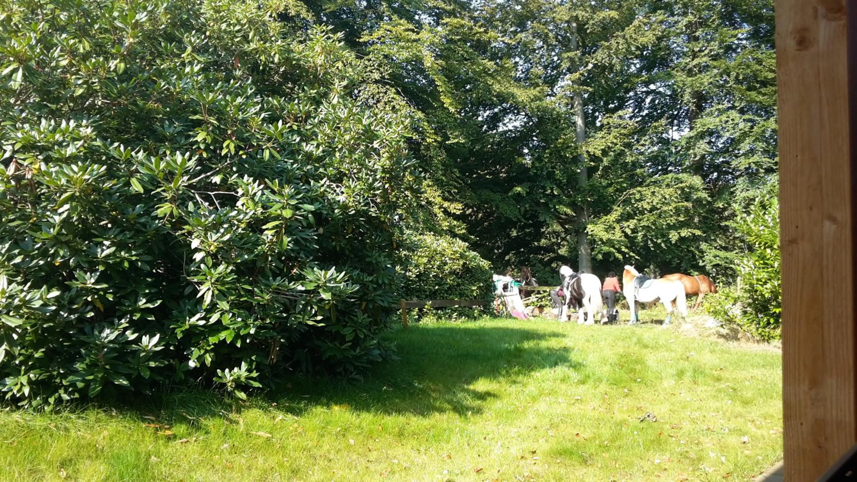 Garden in Der Heidkrug