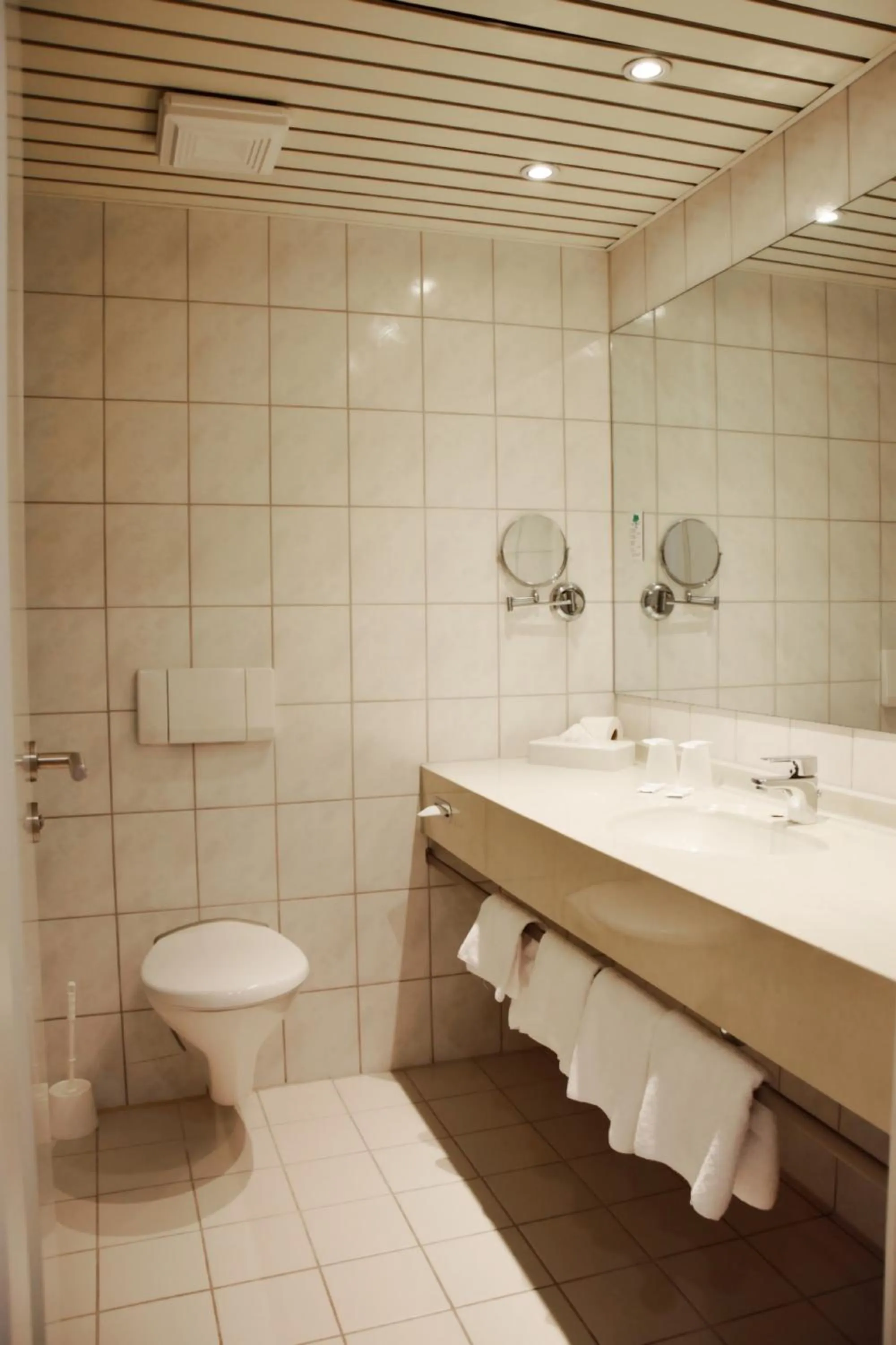 Toilet in Hotel Cristal