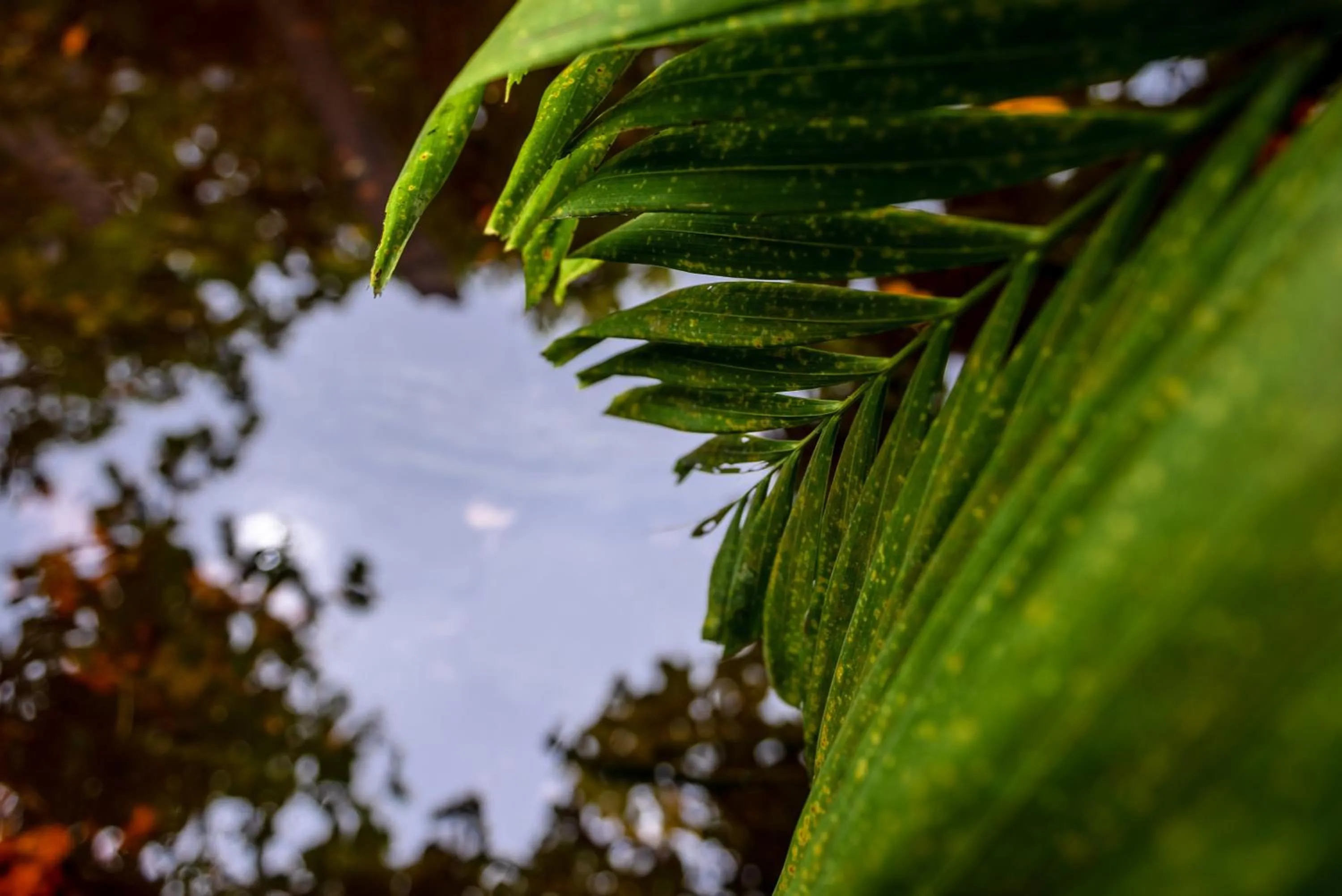 Beach in Mi Lugar Maldives