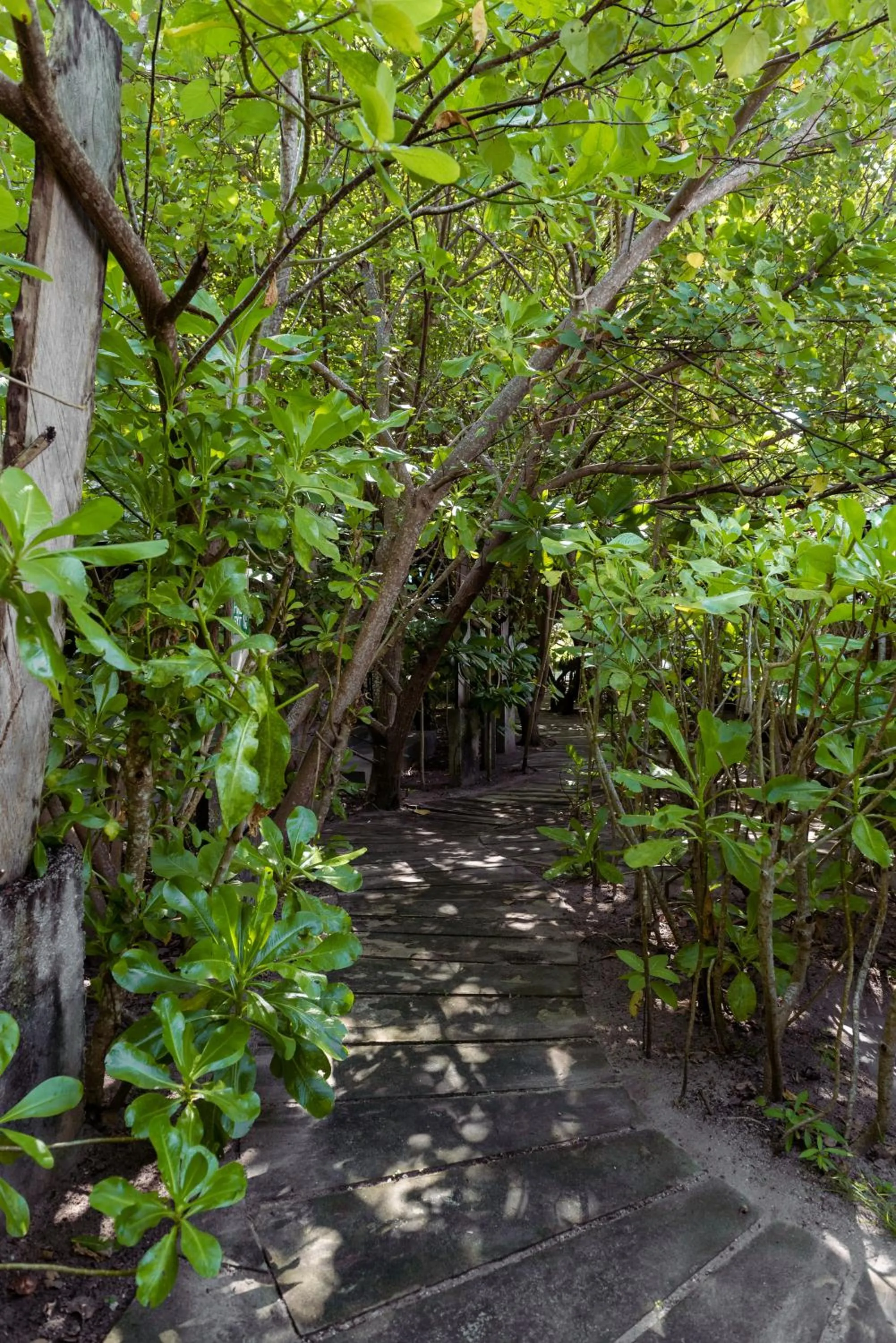 Garden in Mi Lugar Maldives