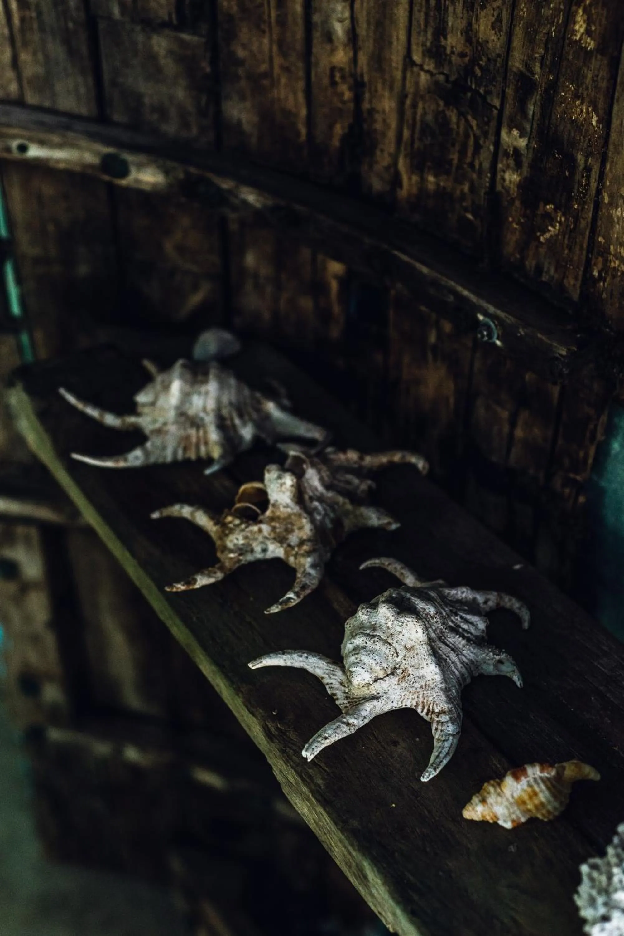 Other in Mi Lugar Maldives