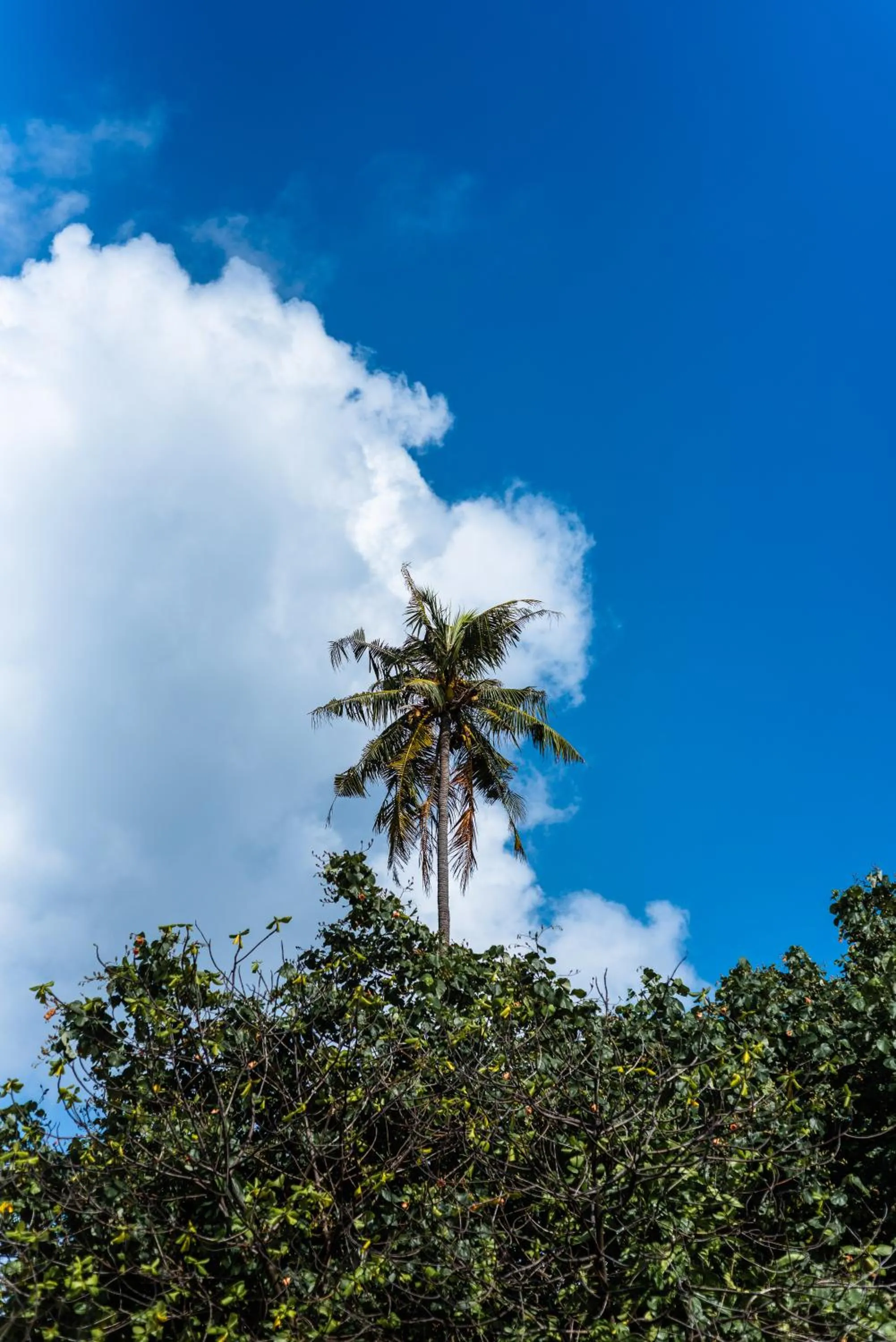 Landmark view in Mi Lugar Maldives