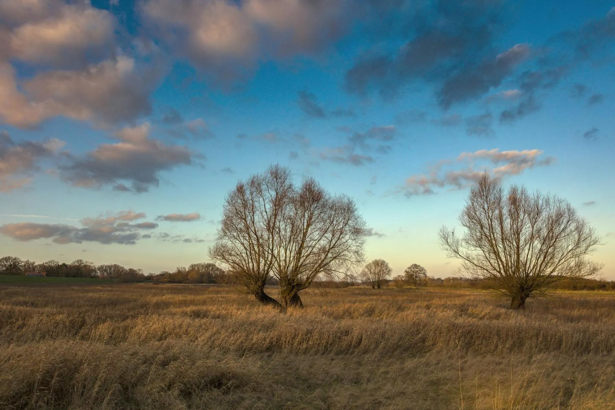 Natural landscape in Hotel Steinhagen