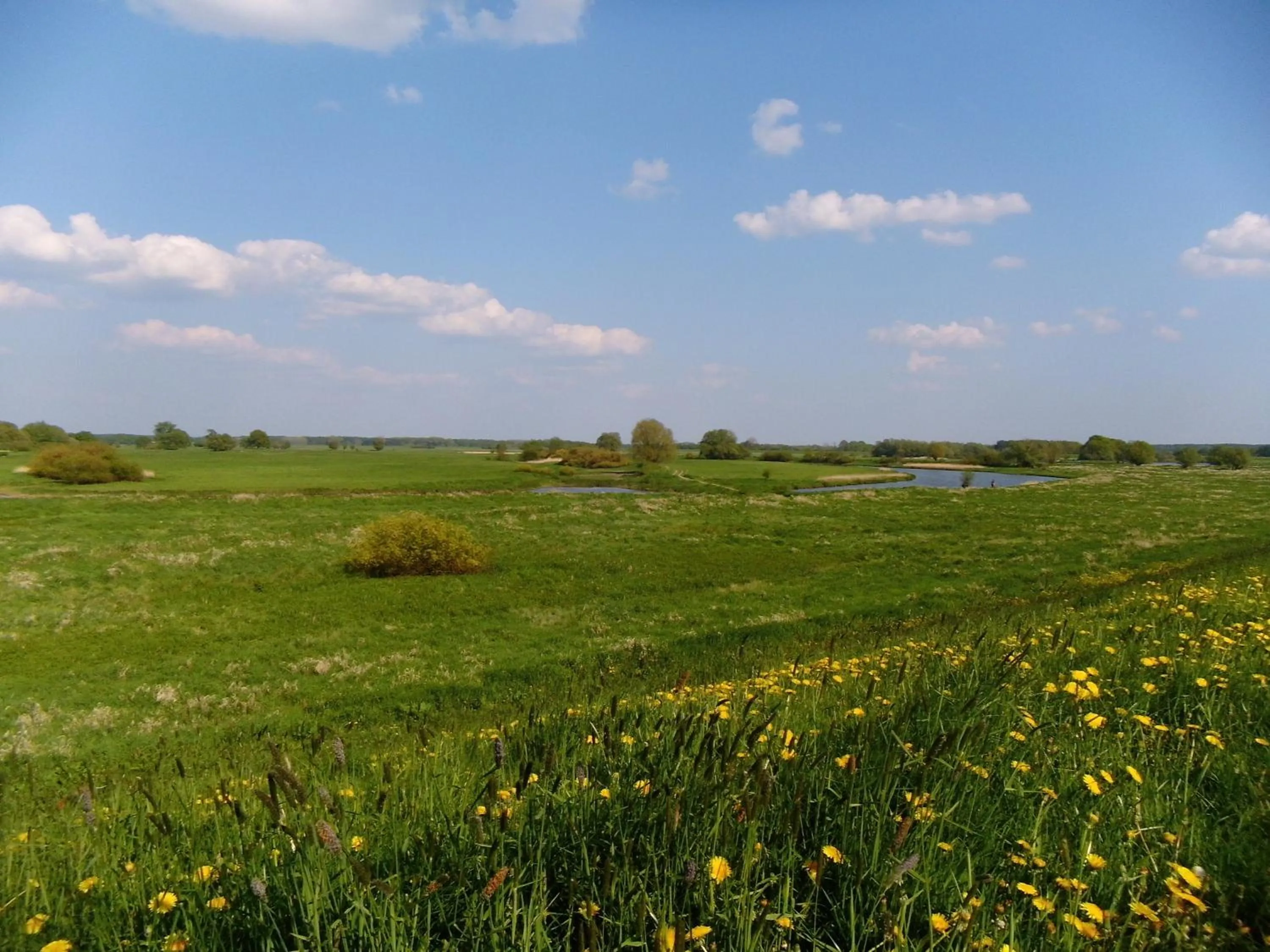 Natural landscape in Hotel Steinhagen