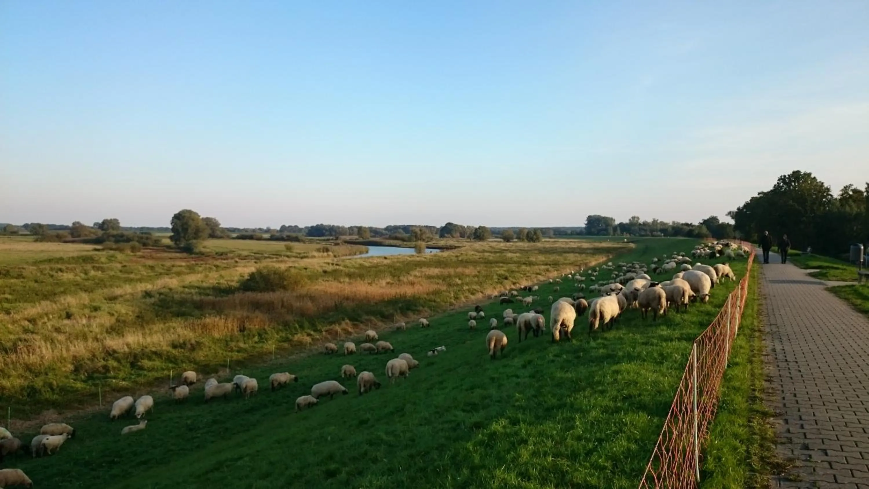 Natural landscape in Hotel Steinhagen