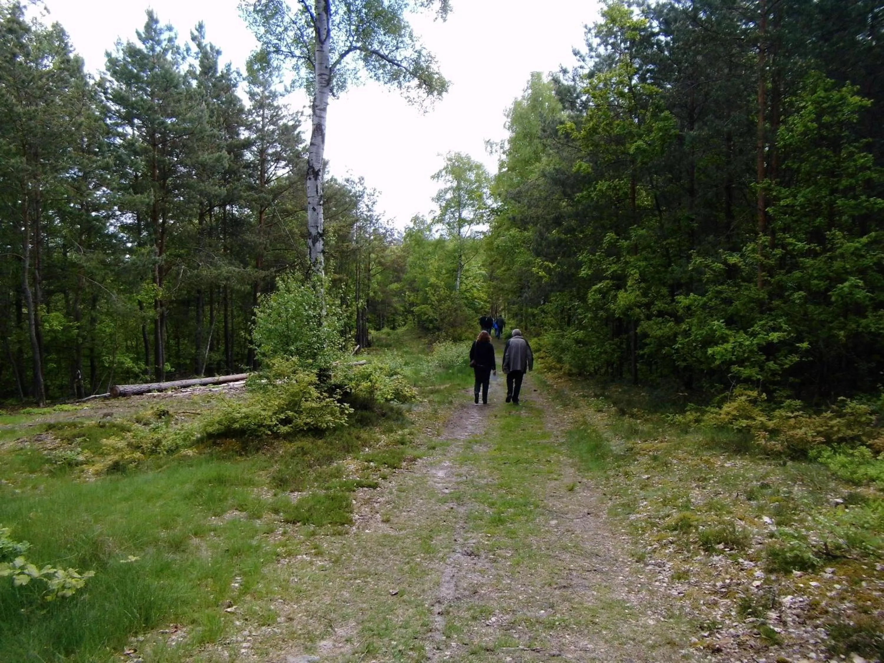 Hiking in Hotel Steinhagen