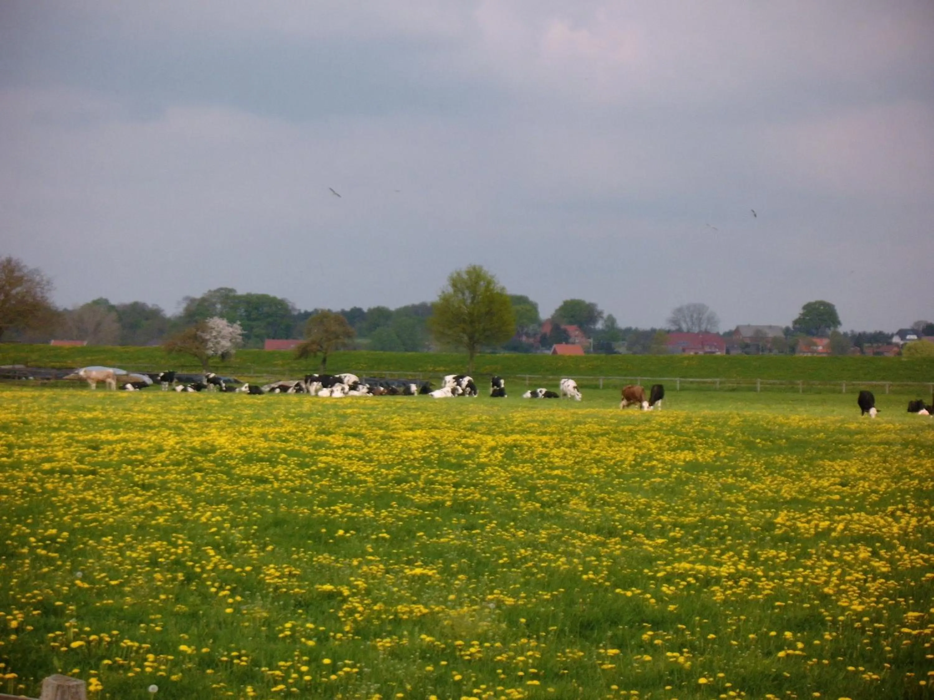 Natural landscape in Hotel Steinhagen
