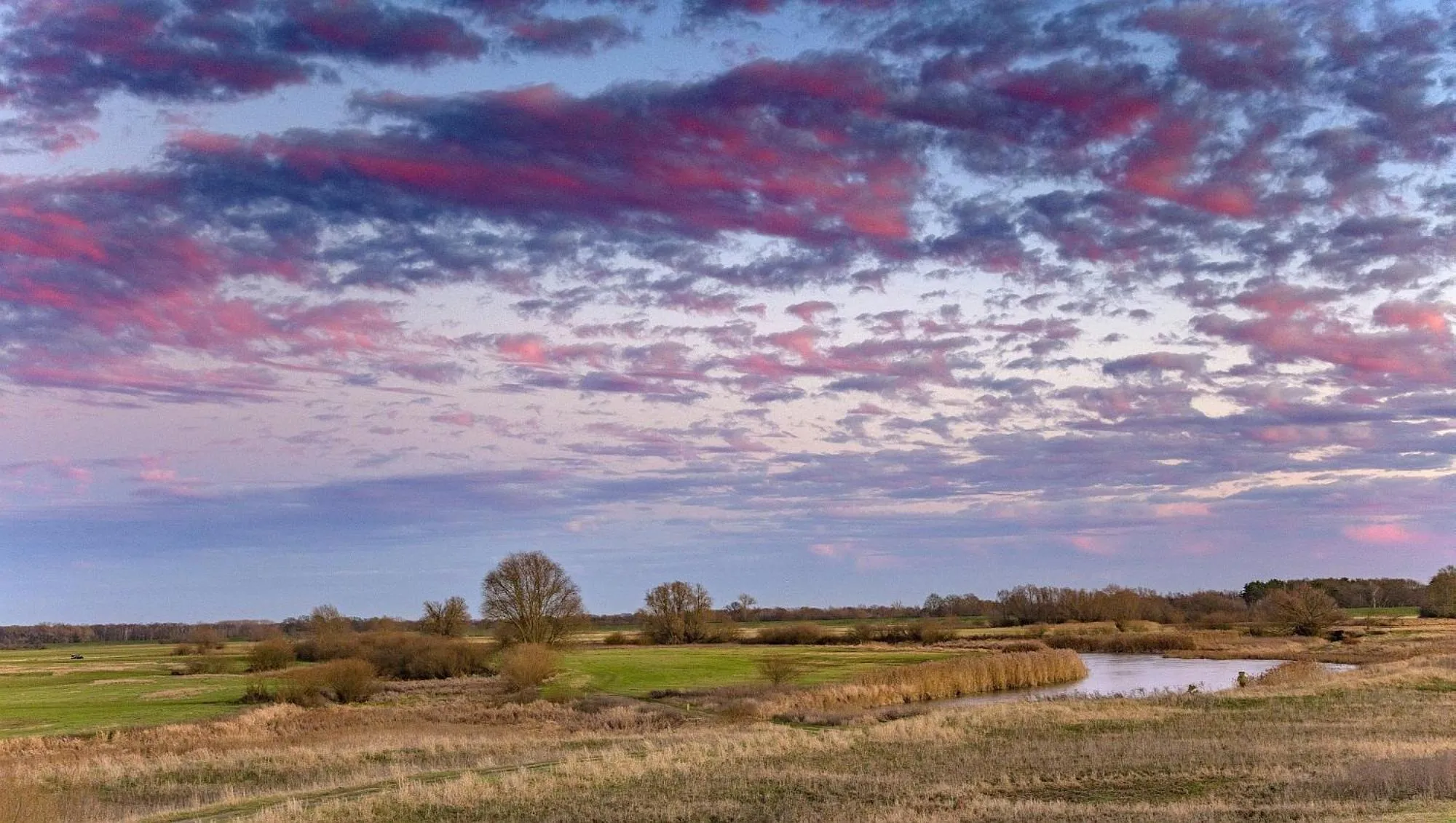 Natural landscape in Hotel Steinhagen