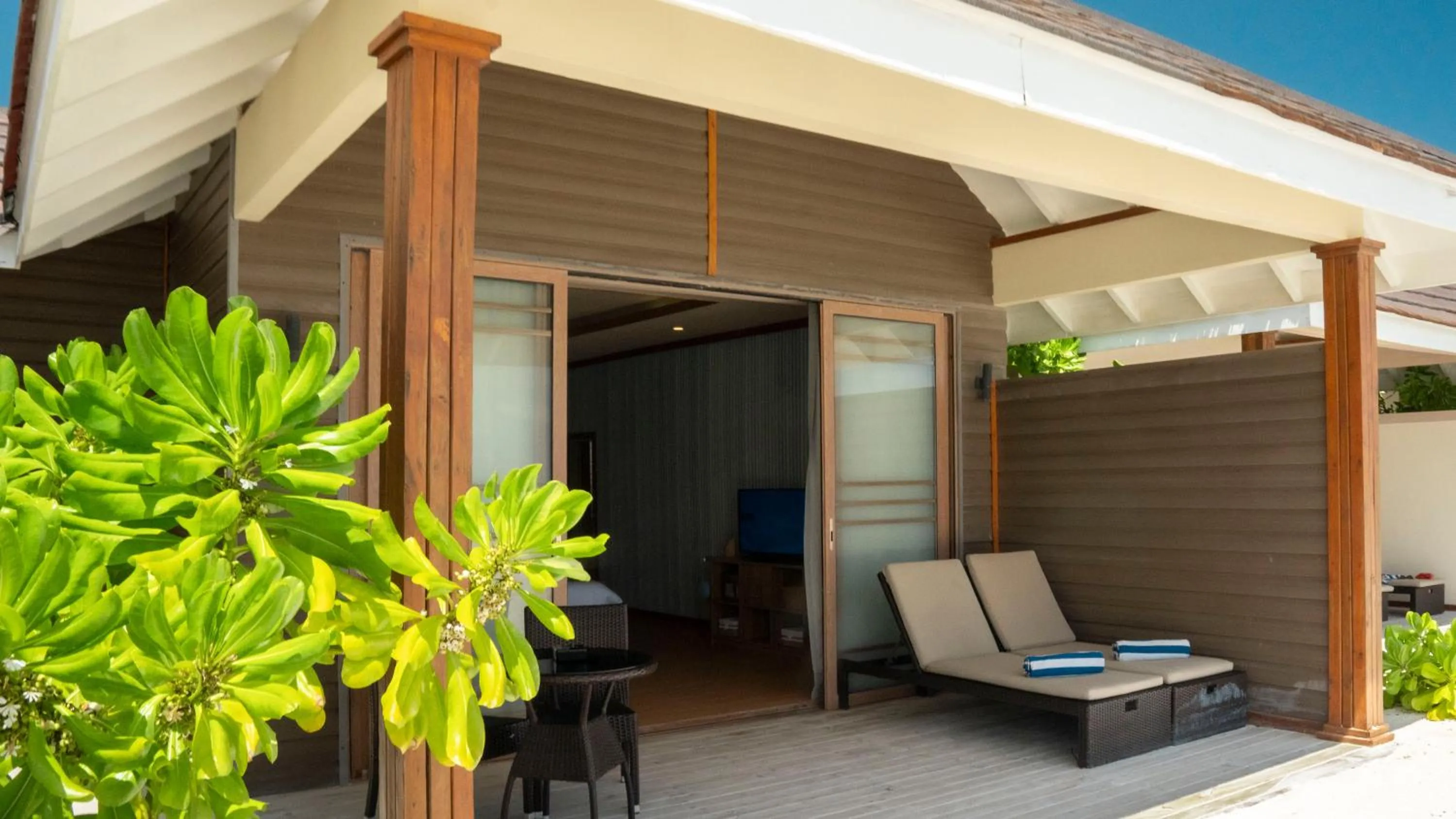 sunbed in Brennia Kottefaru Maldives