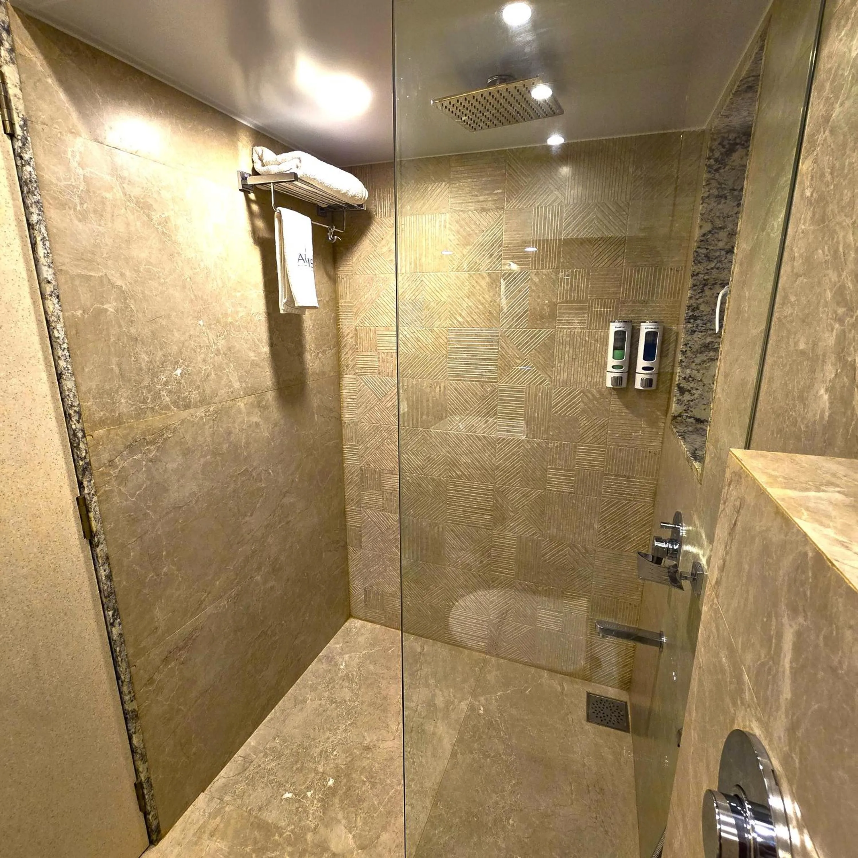 Shower in Hotel Auris & Banquets, Mumbai International Airport