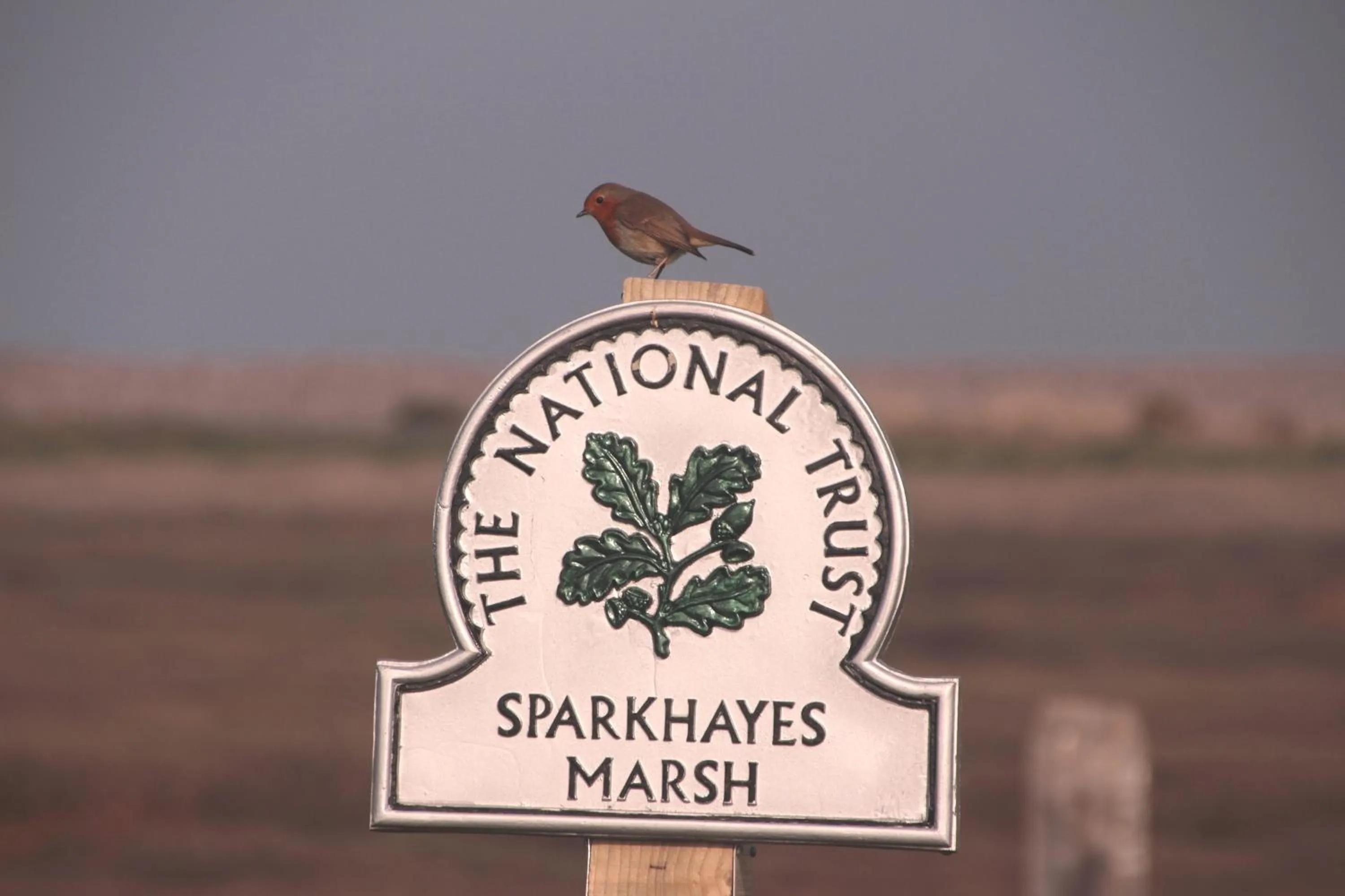 Natural landscape in The Cottage B&B